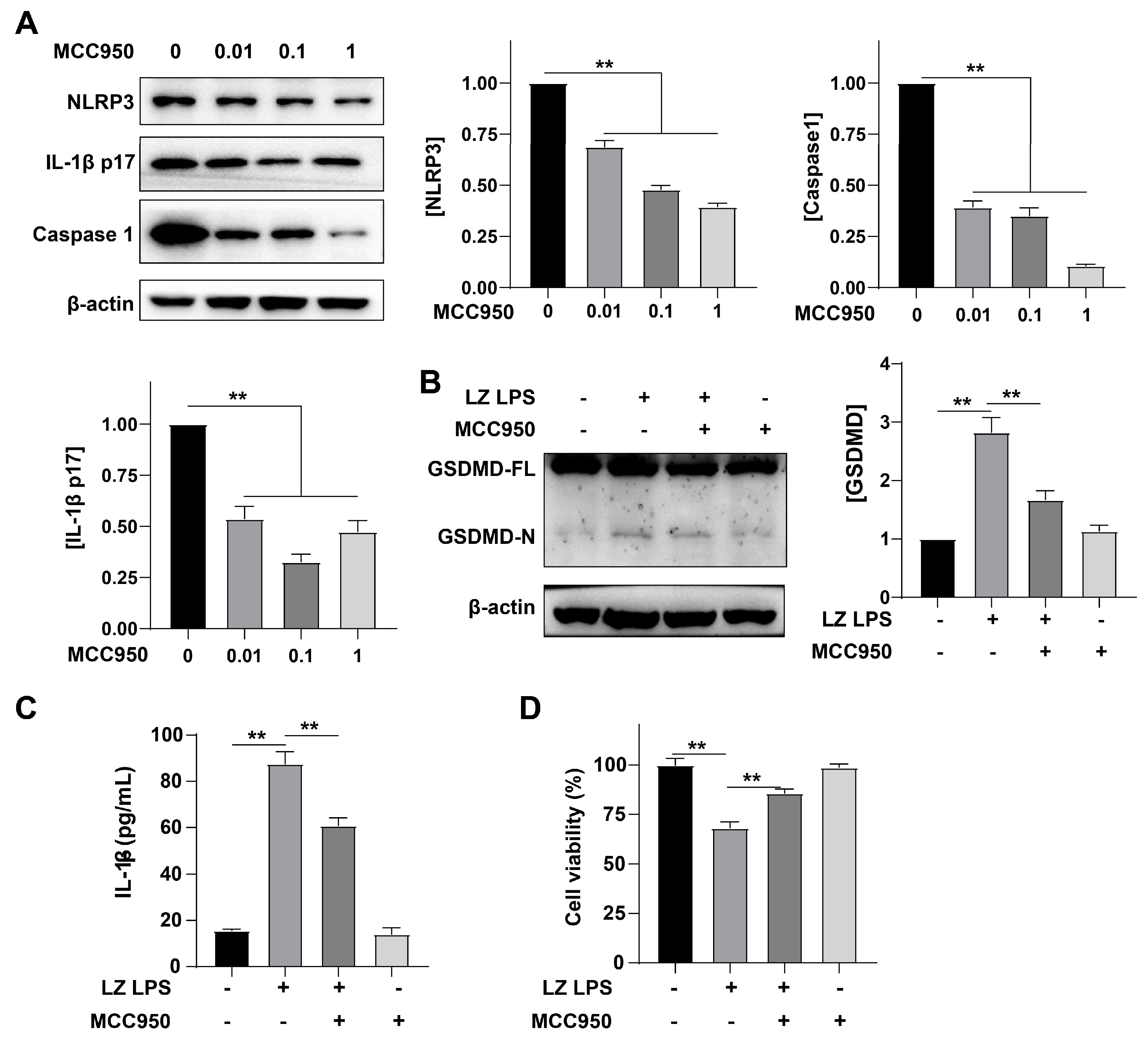 Cells 12 00751 g004 Cells 12 00751 g004