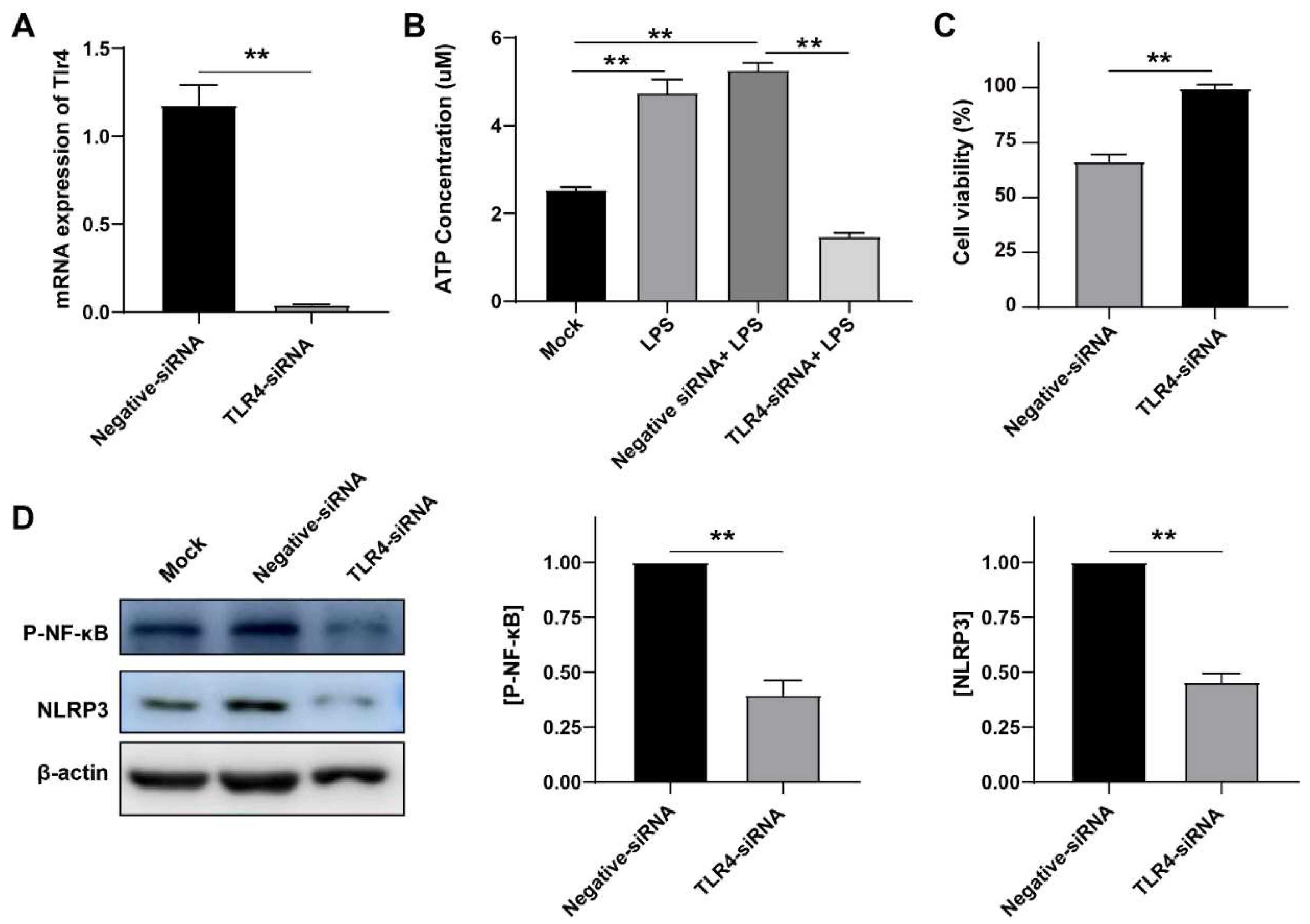Cells 12 00751 g005 Cells 12 00751 g005