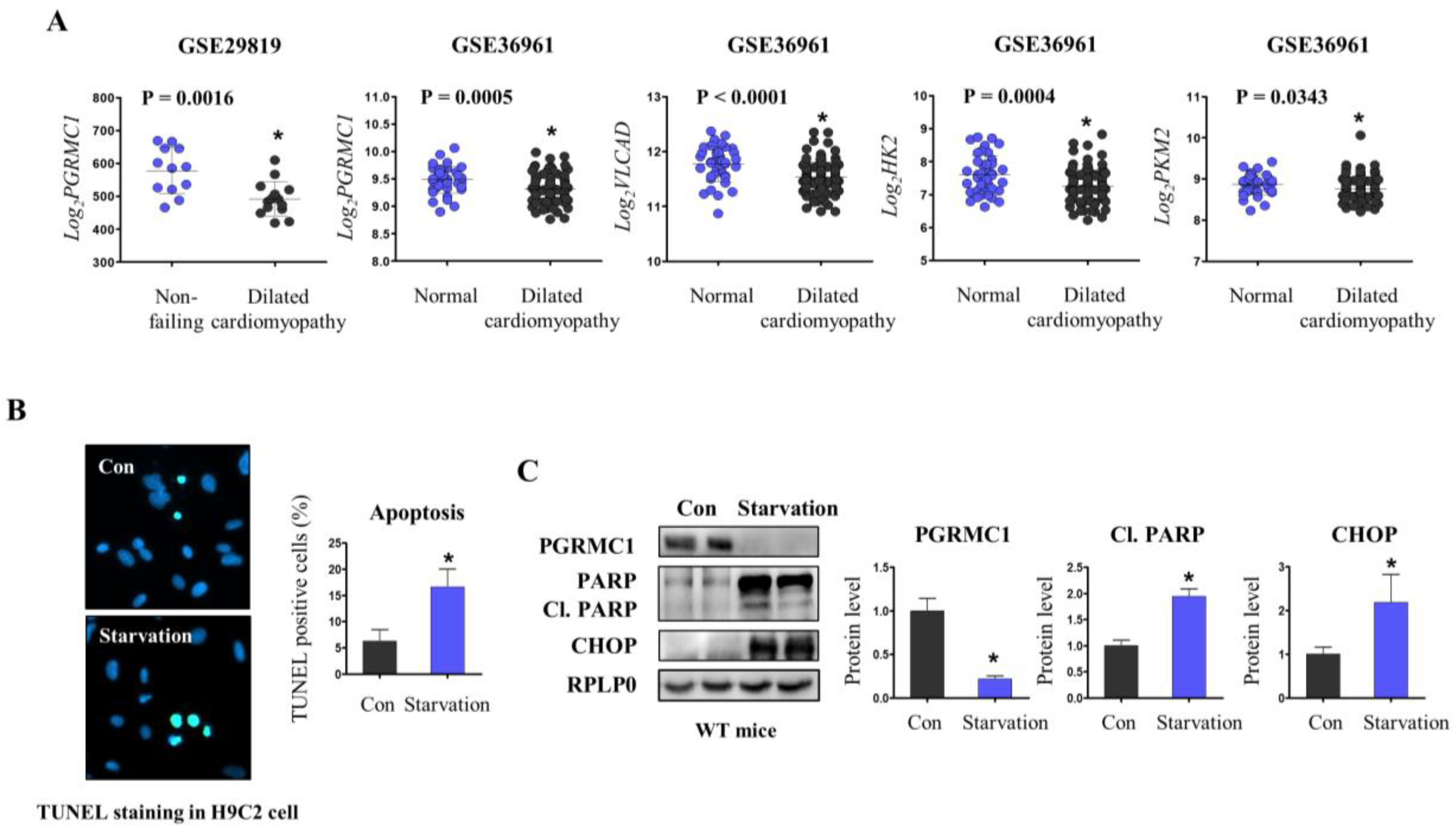 Cells 12 00752 g001 Cells 12 00752 g001