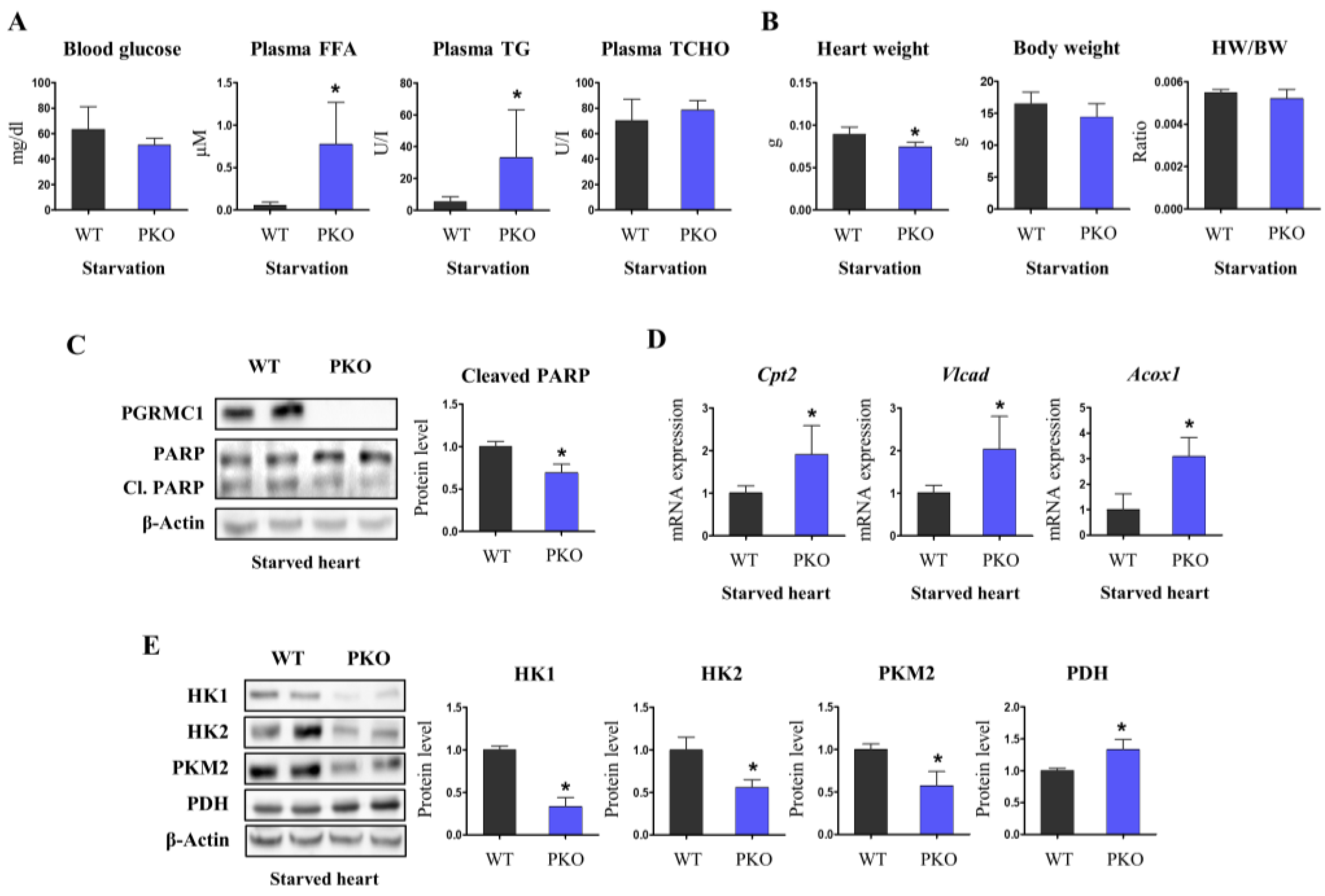 Cells 12 00752 g003 Cells 12 00752 g003