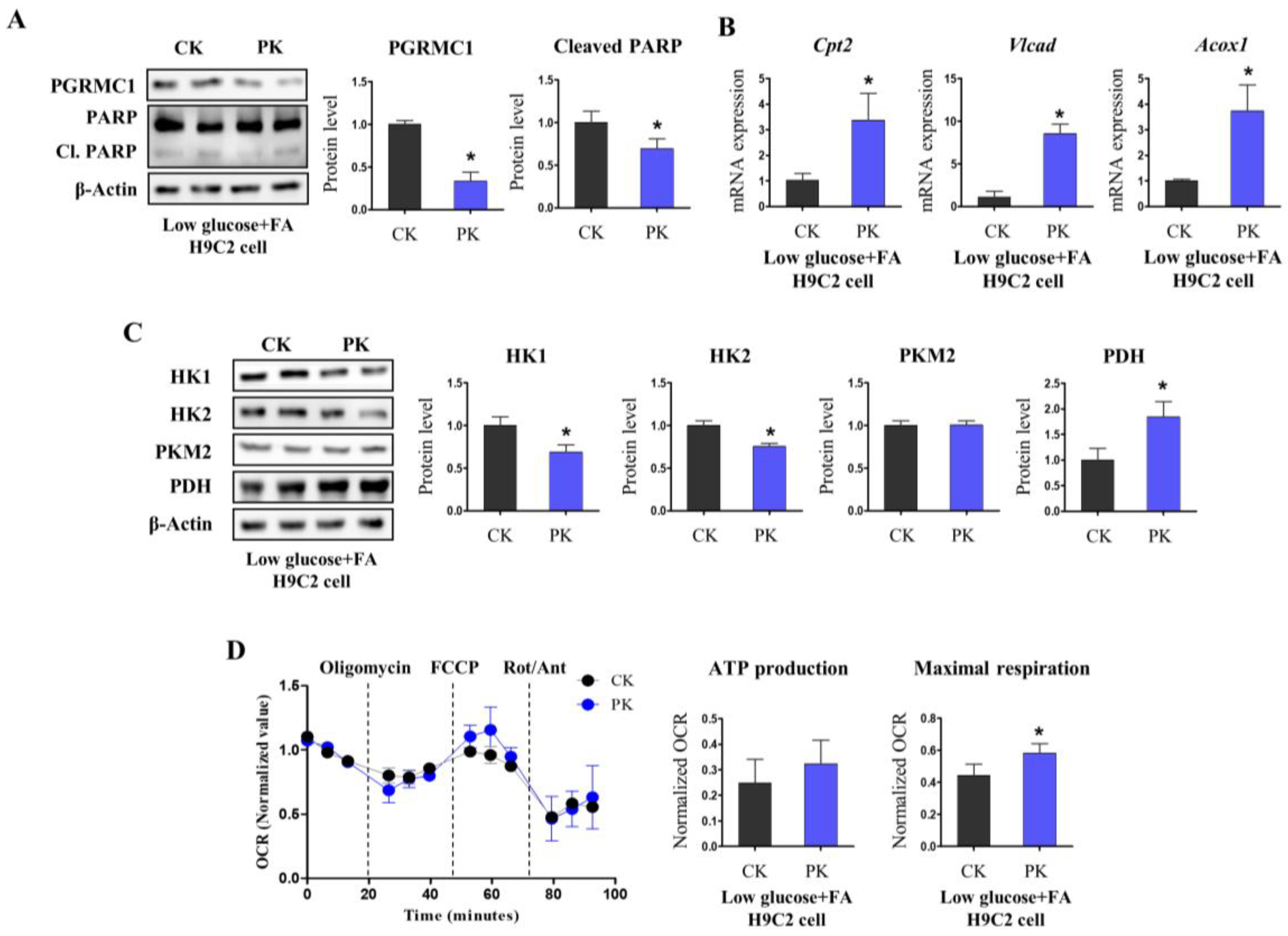 Cells 12 00752 g004 Cells 12 00752 g004