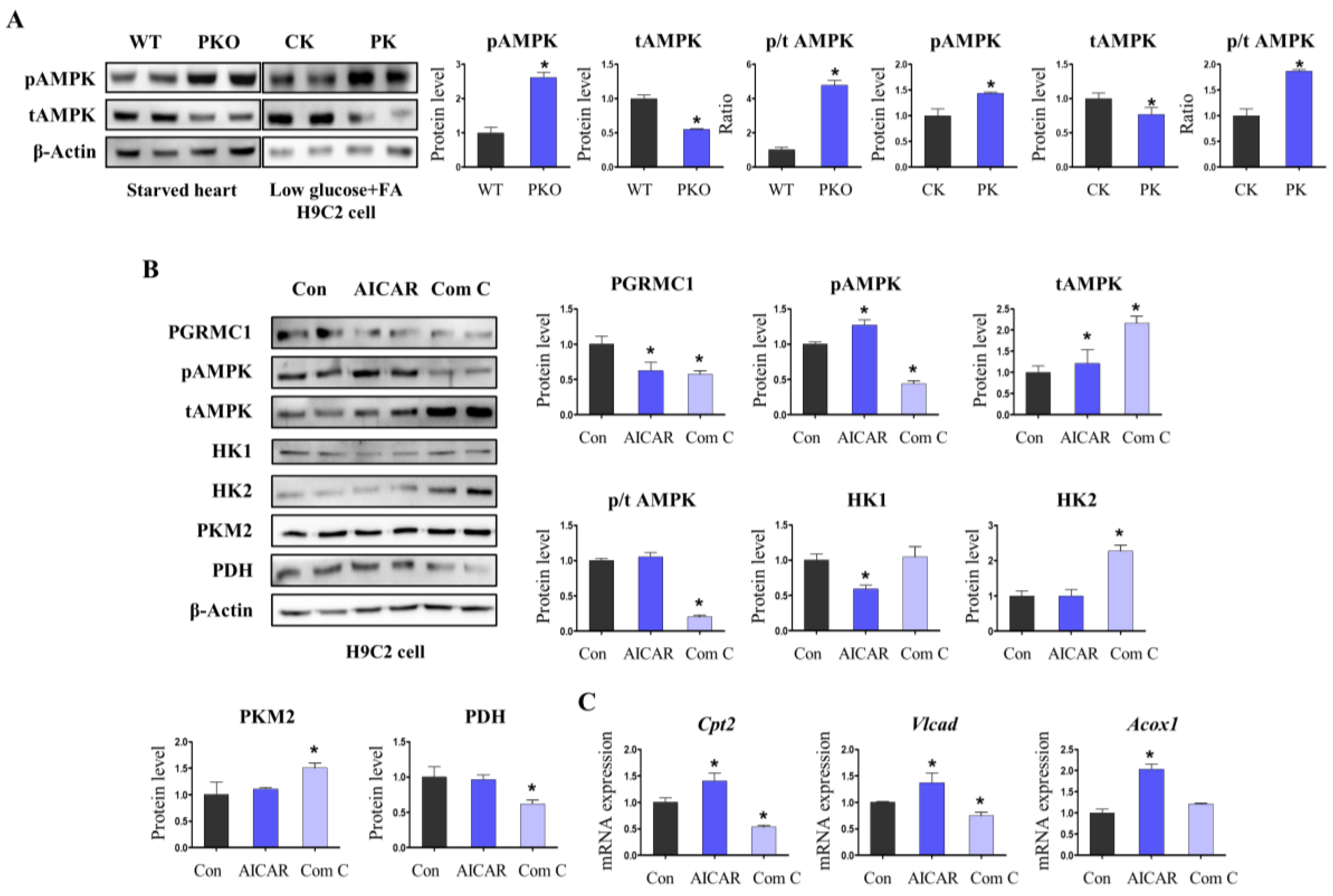 Cells 12 00752 g005 Cells 12 00752 g005
