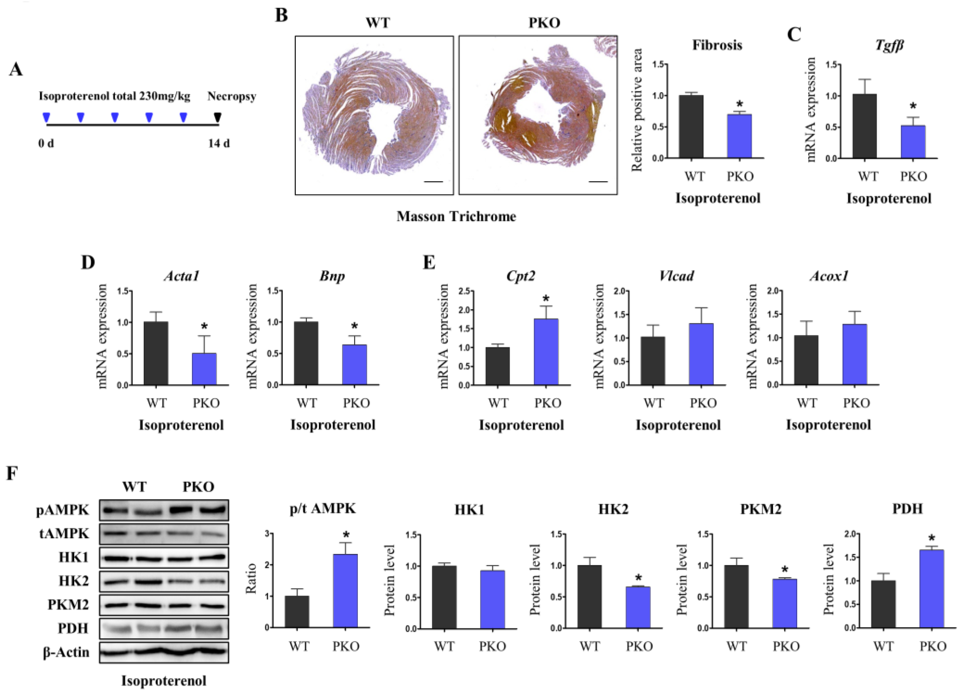 Cells 12 00752 g006 Cells 12 00752 g006