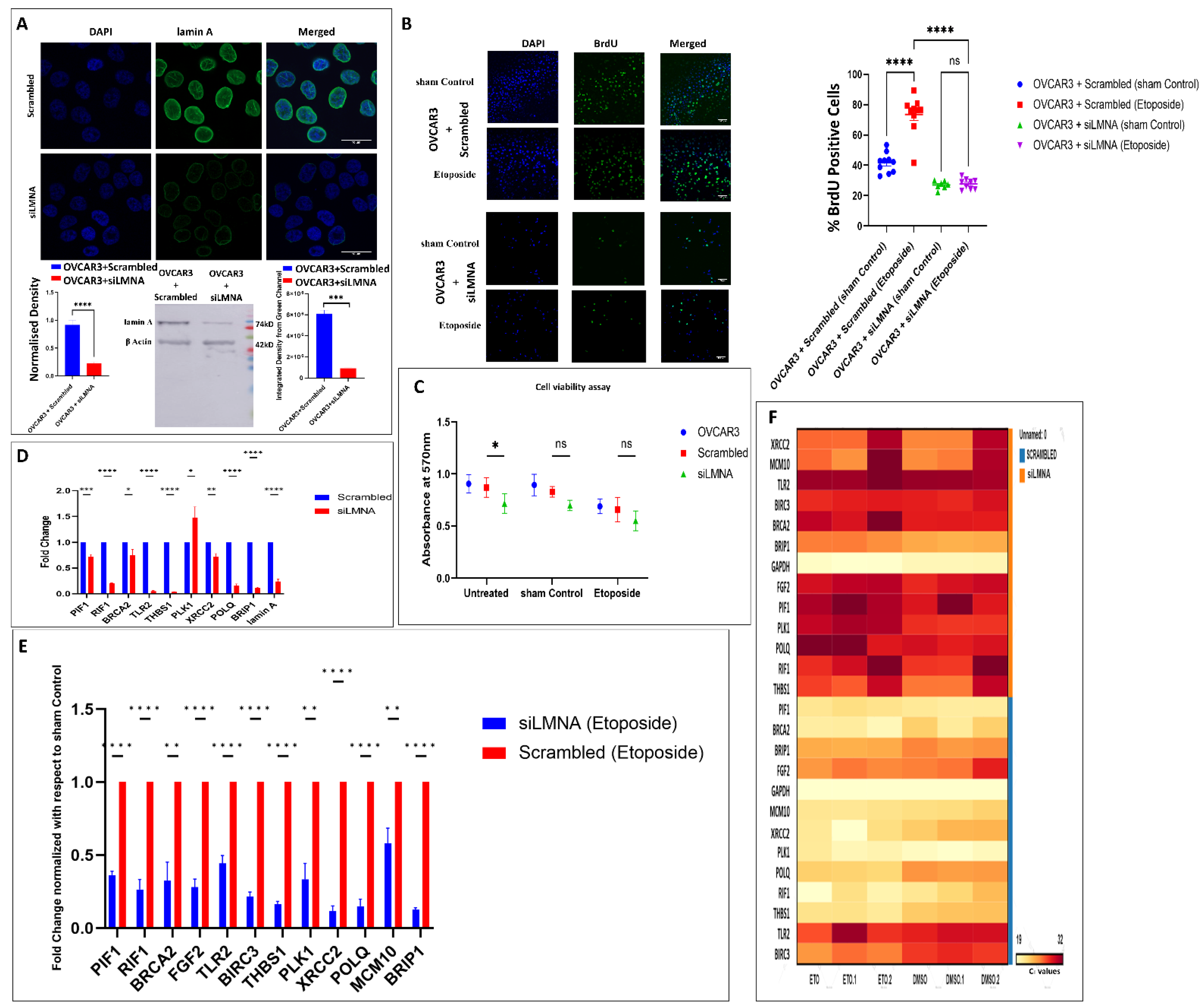 Cells 12 00757 g005
