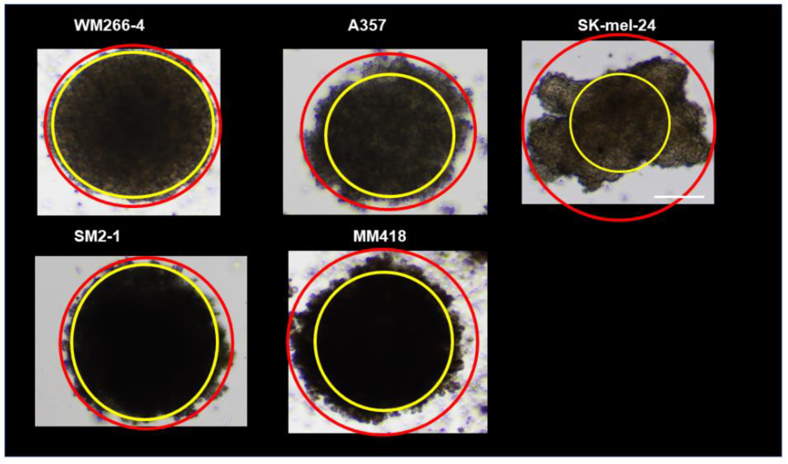 Cells 12 00759 g002 Cells 12 00759 g002