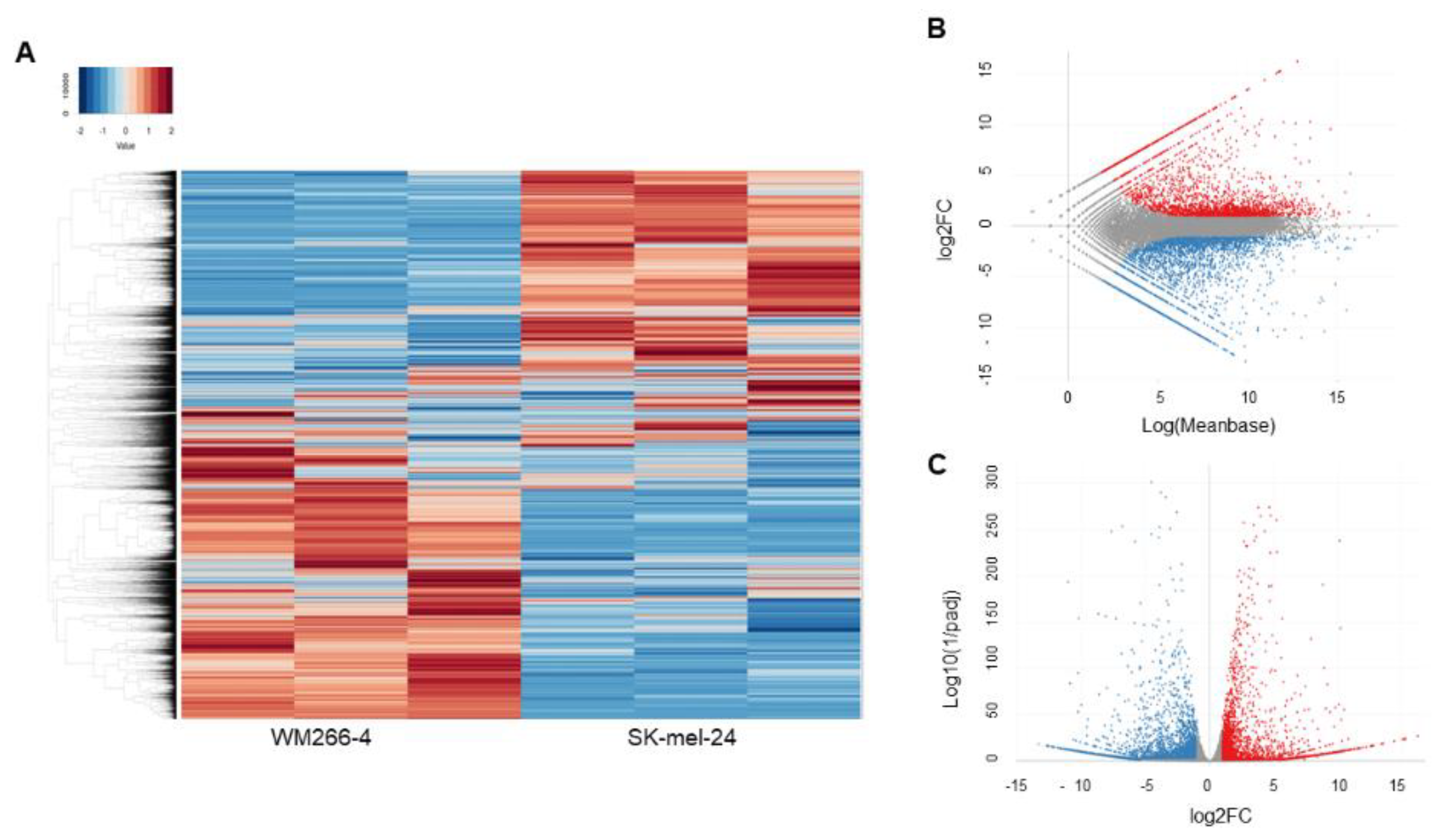 Cells 12 00759 g004 Cells 12 00759 g004