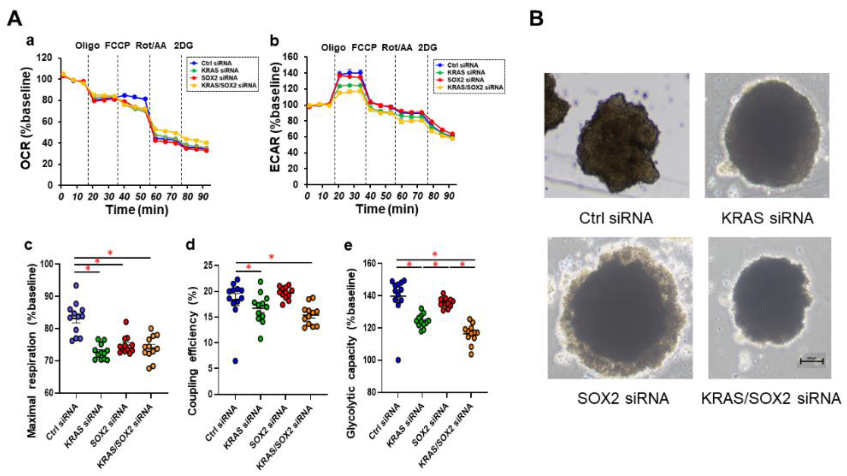 Cells 12 00759 g005 Cells 12 00759 g005