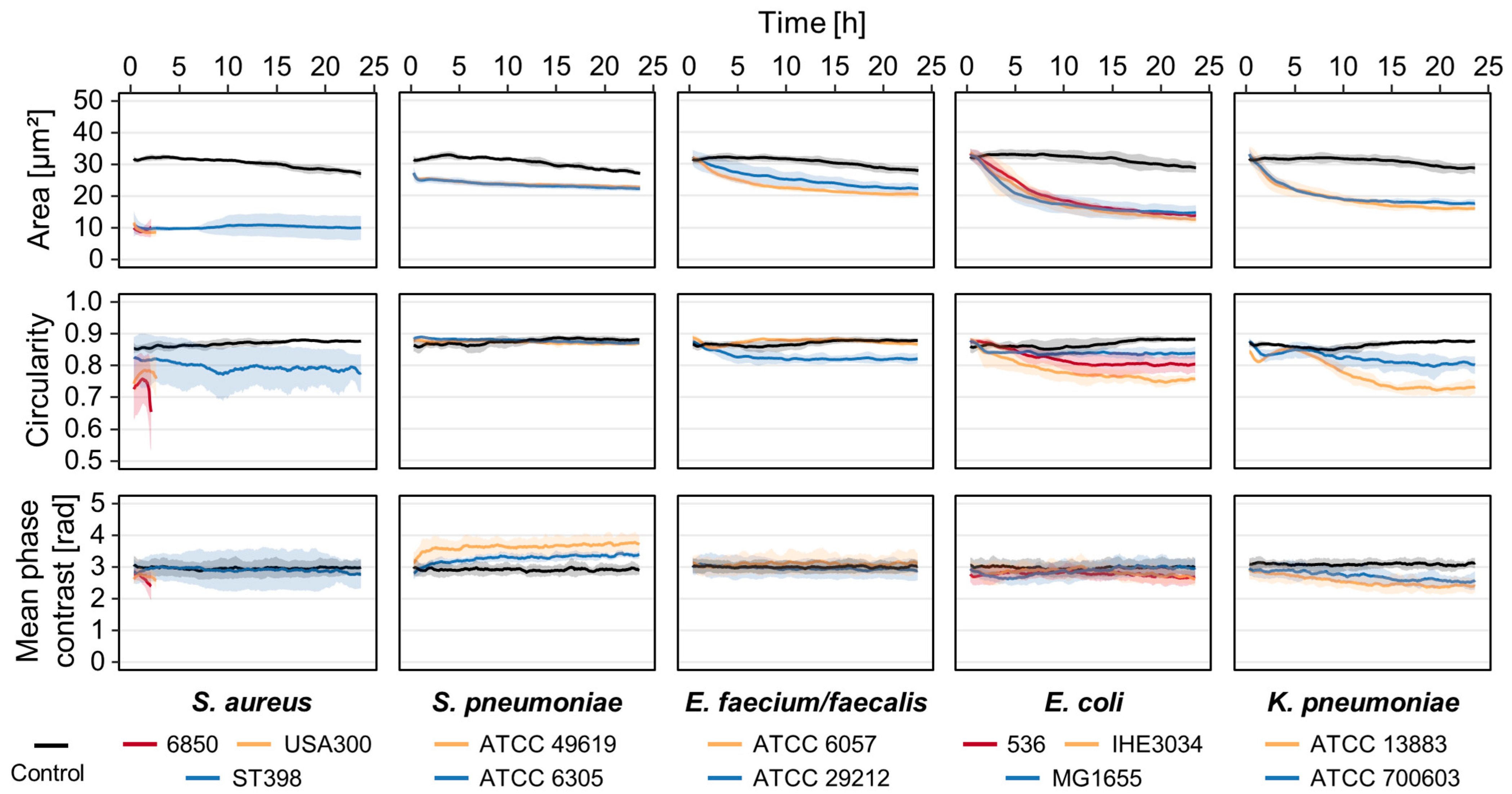 Cells 12 00762 g002 Cells 12 00762 g002