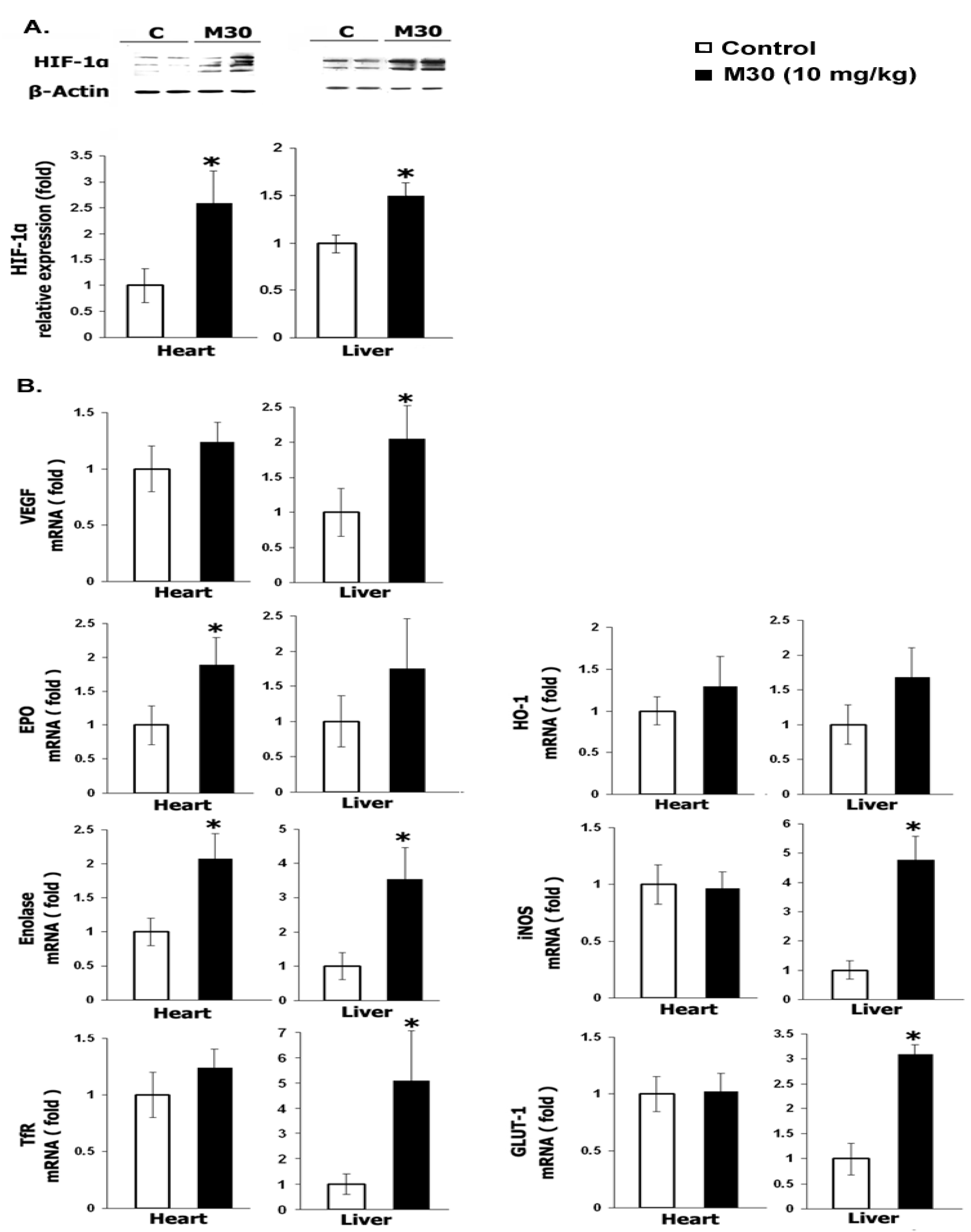 Cells 12 00763 g041a