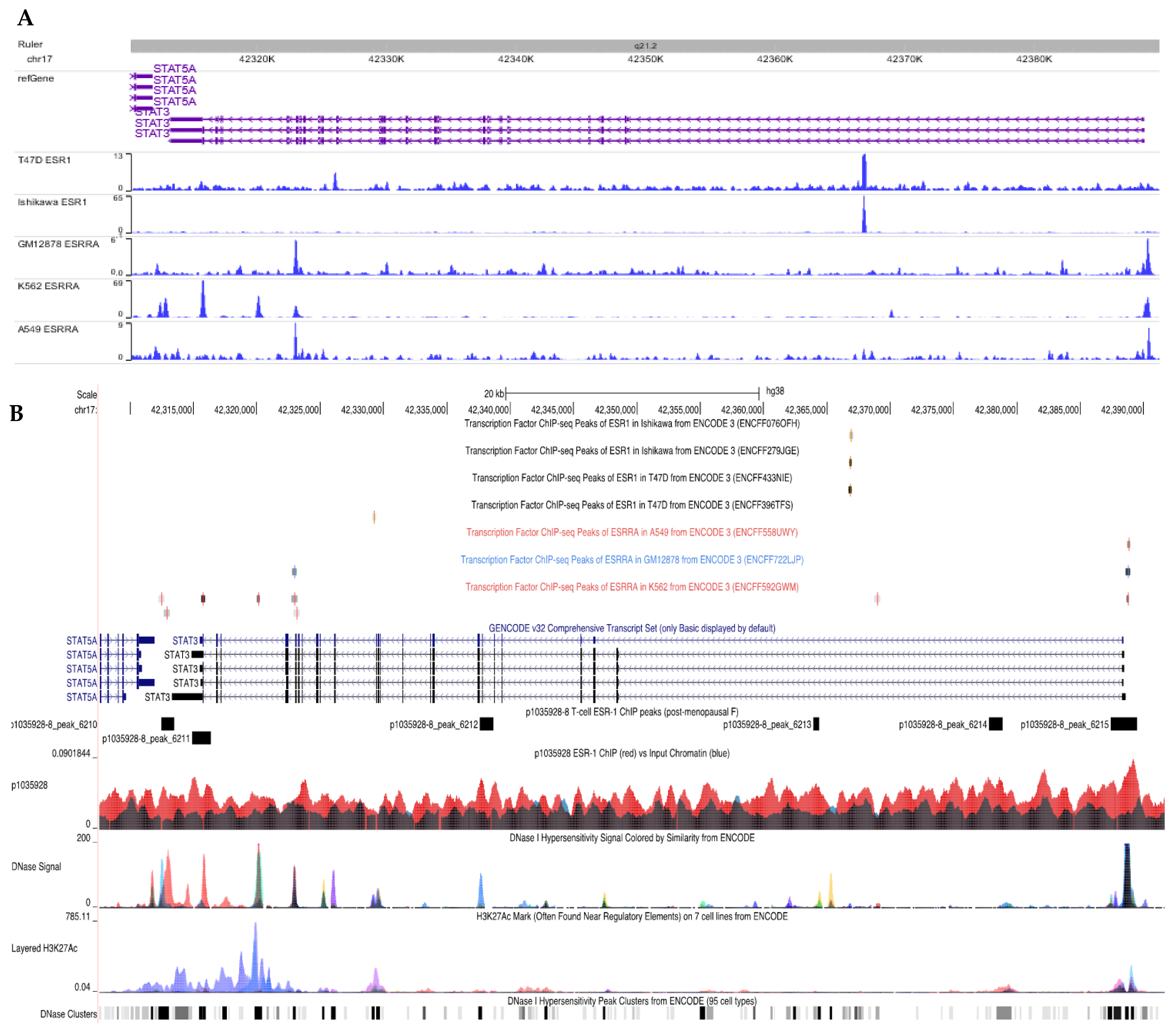 Cells 12 00766 g001 Cells 12 00766 g001