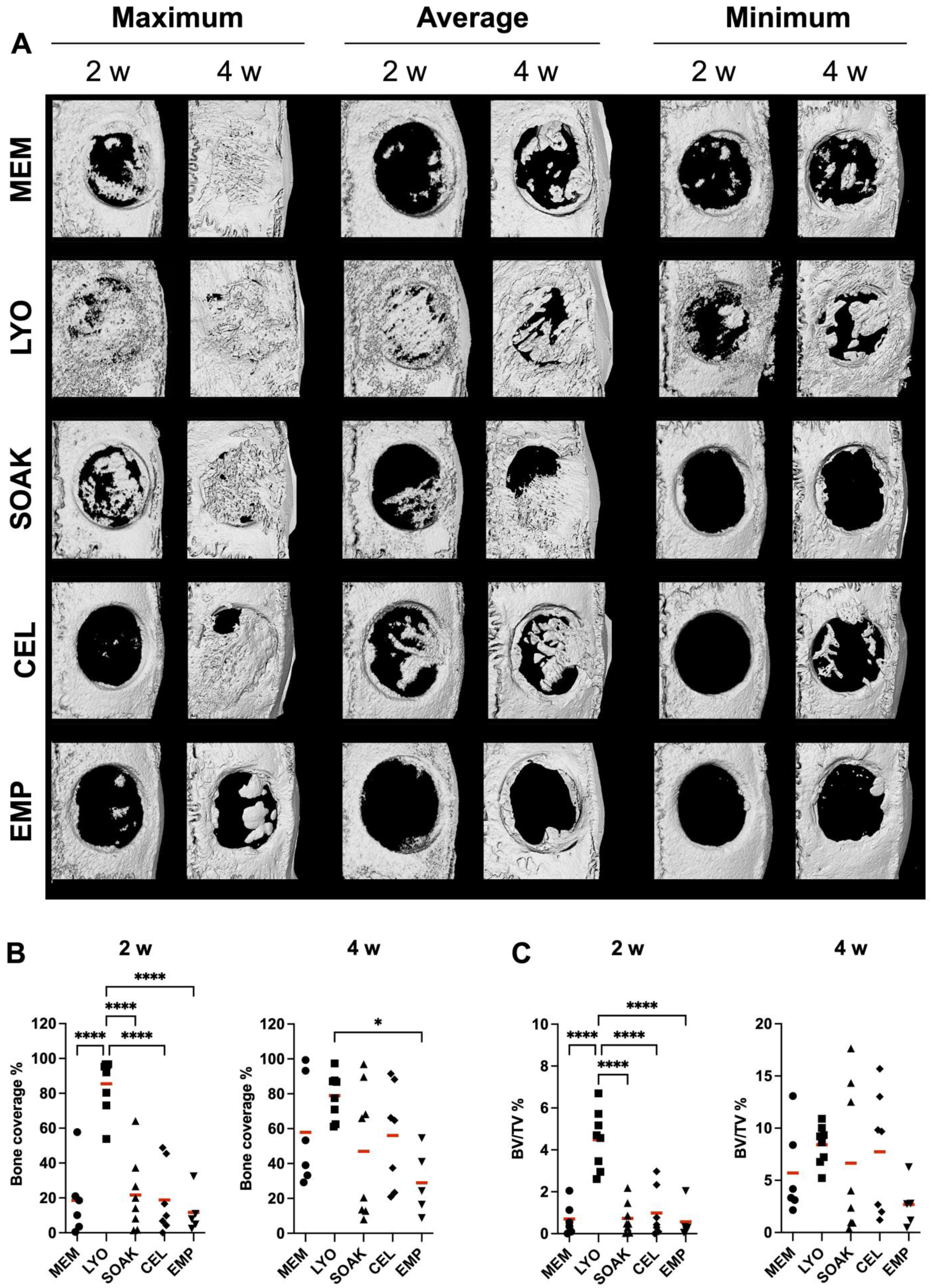 Cells 12 00767 g002 Cells 12 00767 g002