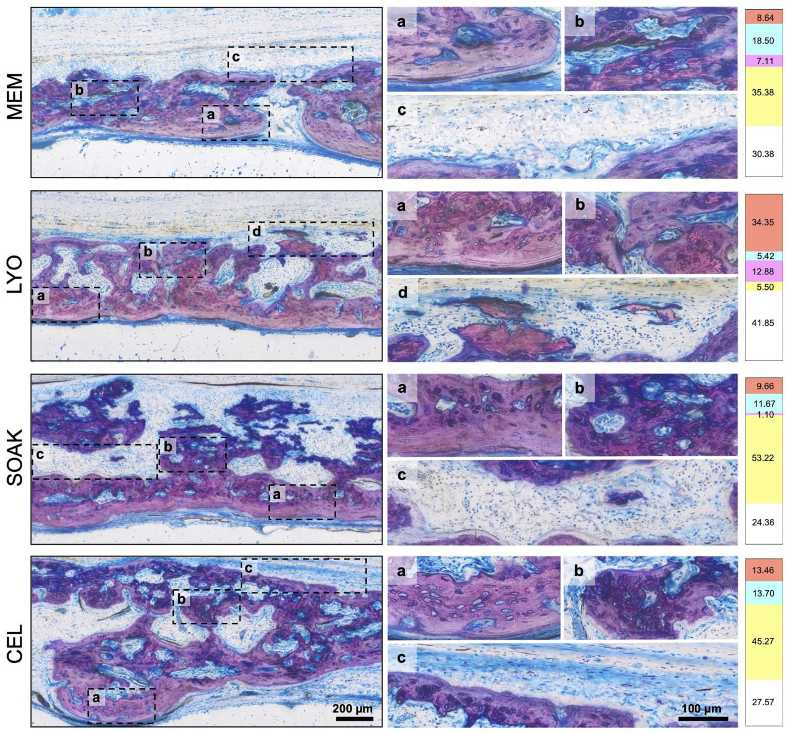 Cells 12 00767 g005 Cells 12 00767 g005