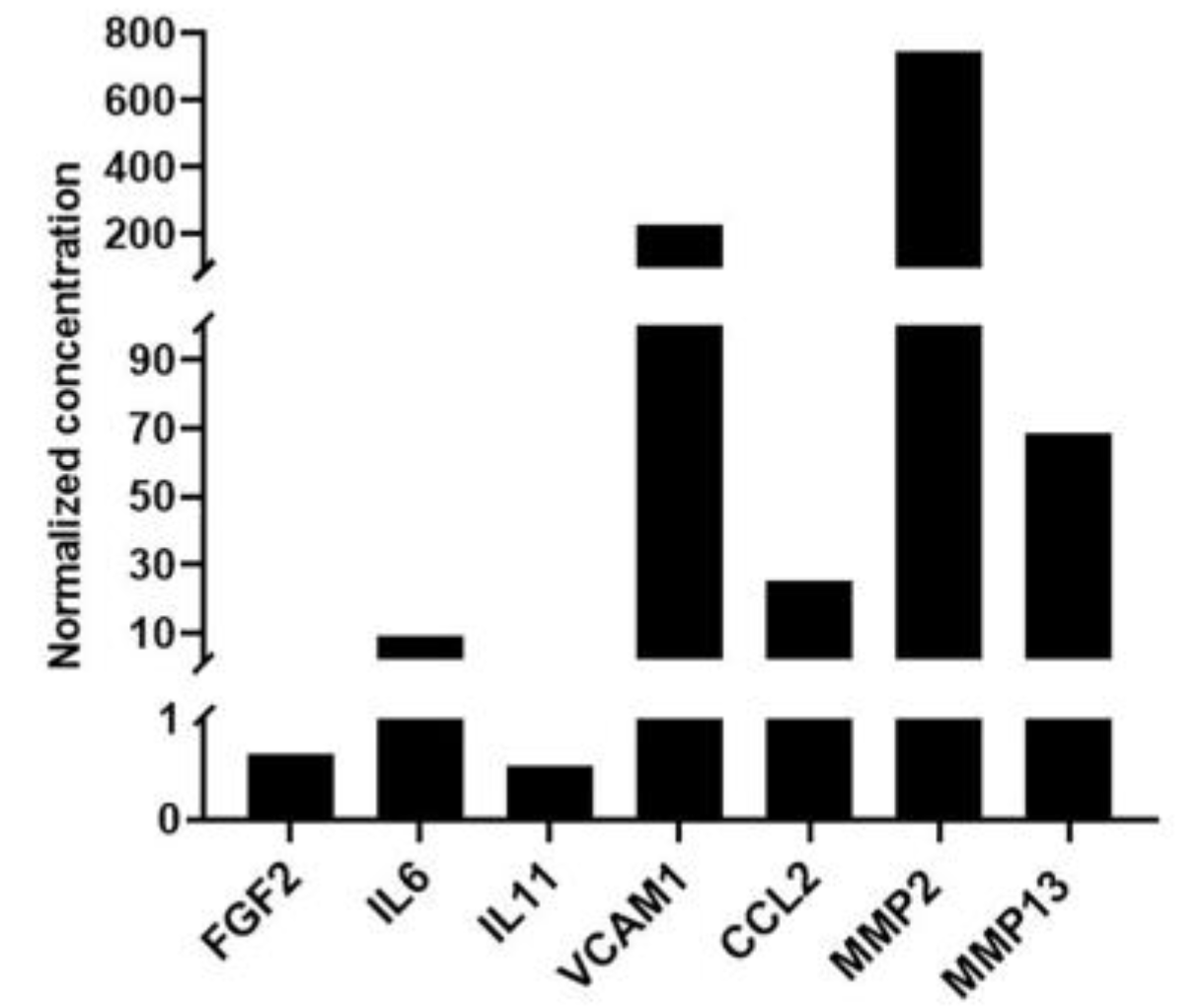 Cells 12 00767 g008 Cells 12 00767 g008