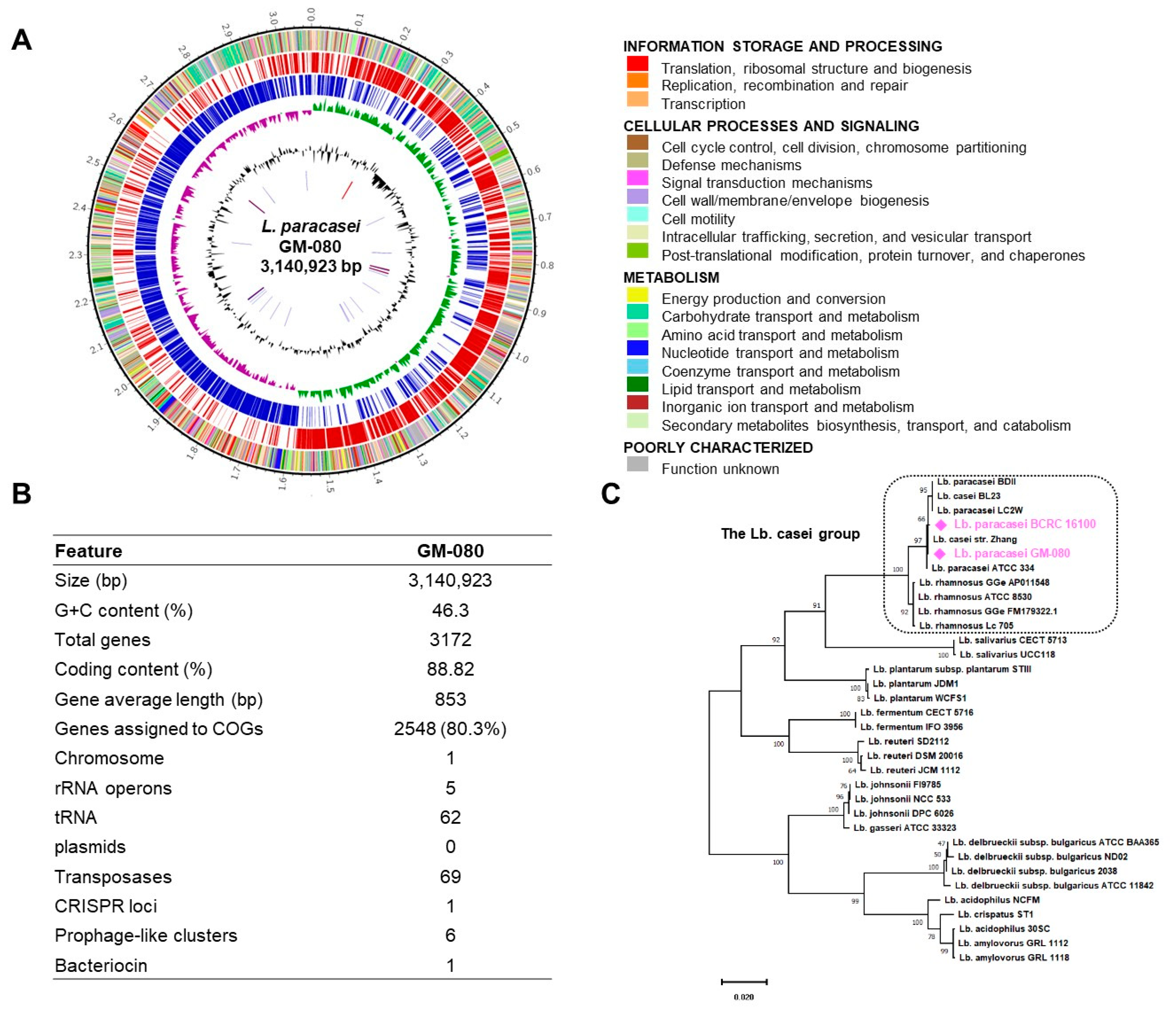 Cells 12 00768 g003 Cells 12 00768 g003