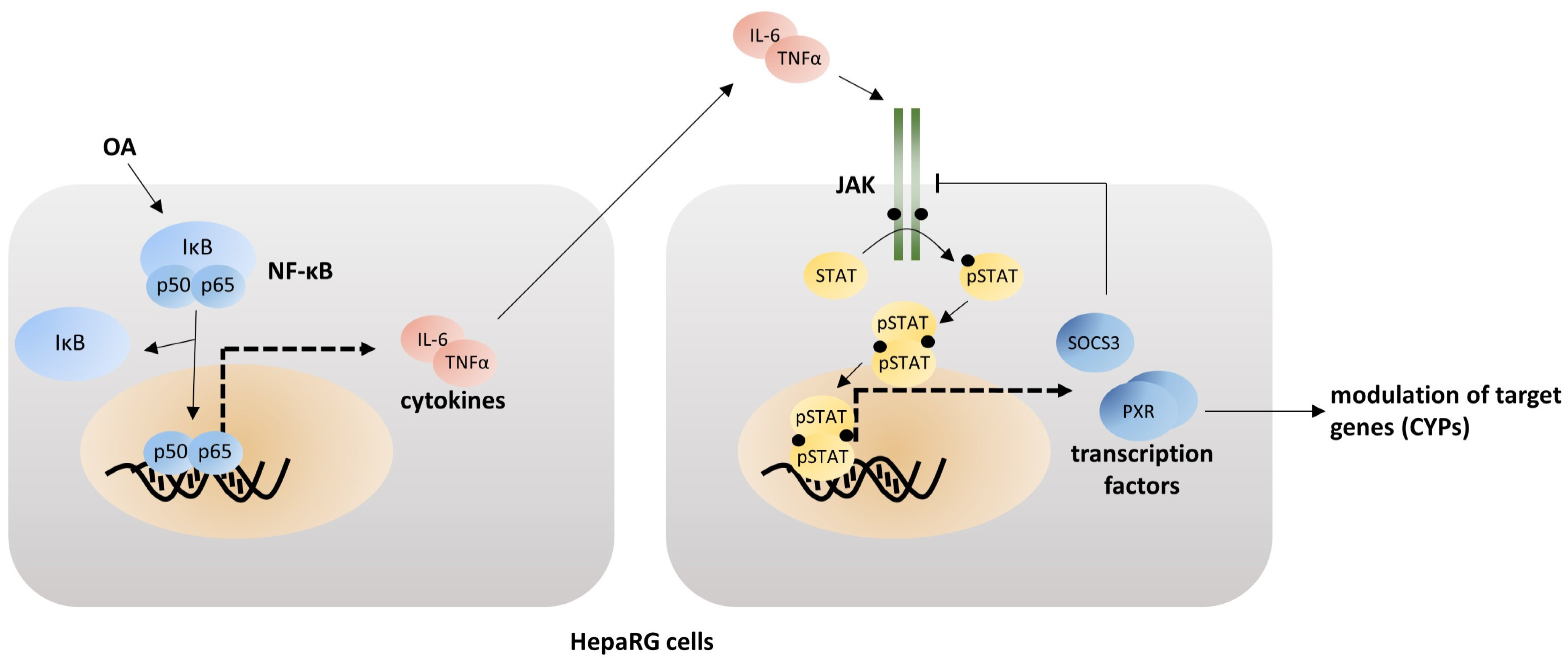 Cells 12 00770 g001 Cells 12 00770 g001