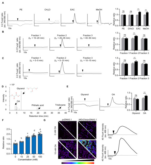Cells | Free Full-Text | Oxalic Acid Inhibits Feeding Behavior of 