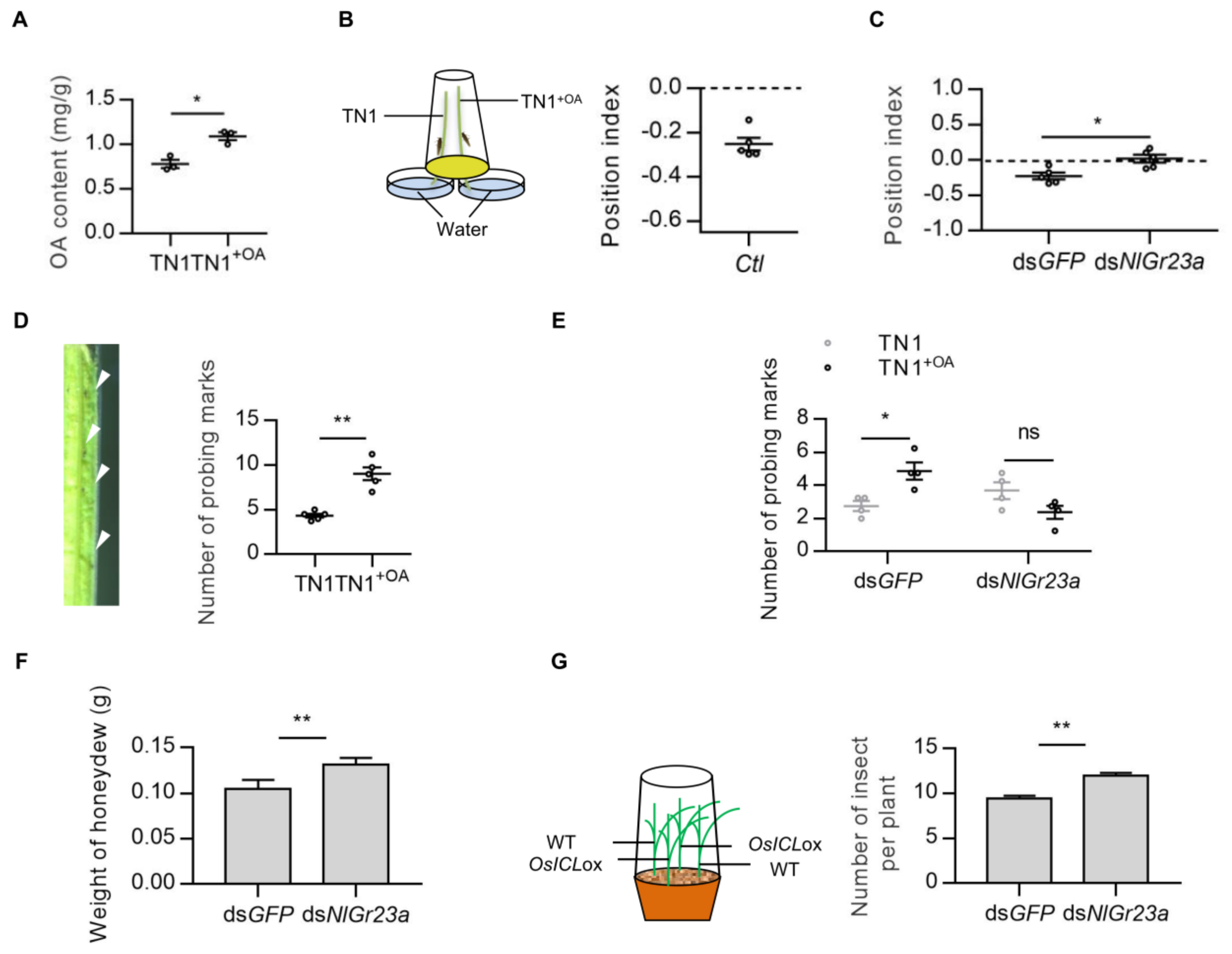 Cells 12 00771 g002 Cells 12 00771 g002