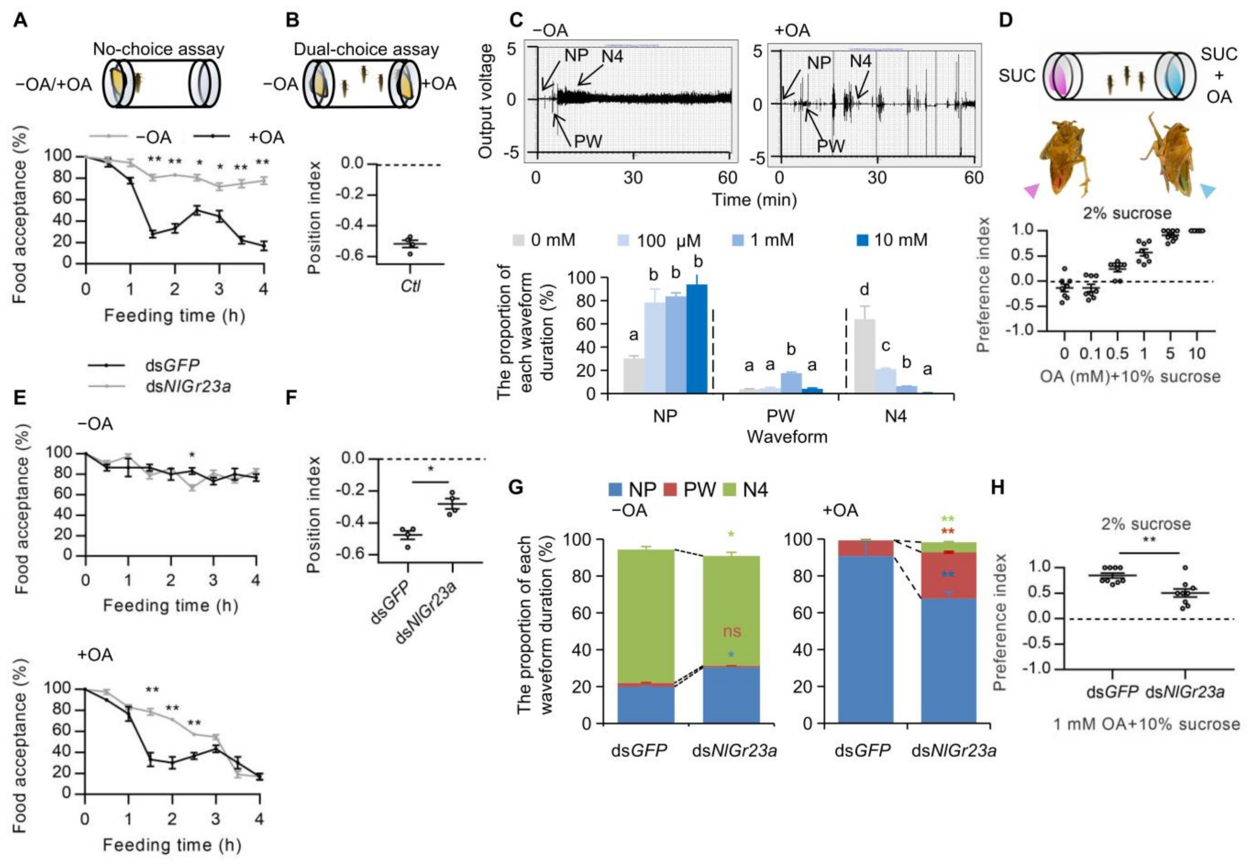 Cells 12 00771 g003 Cells 12 00771 g003