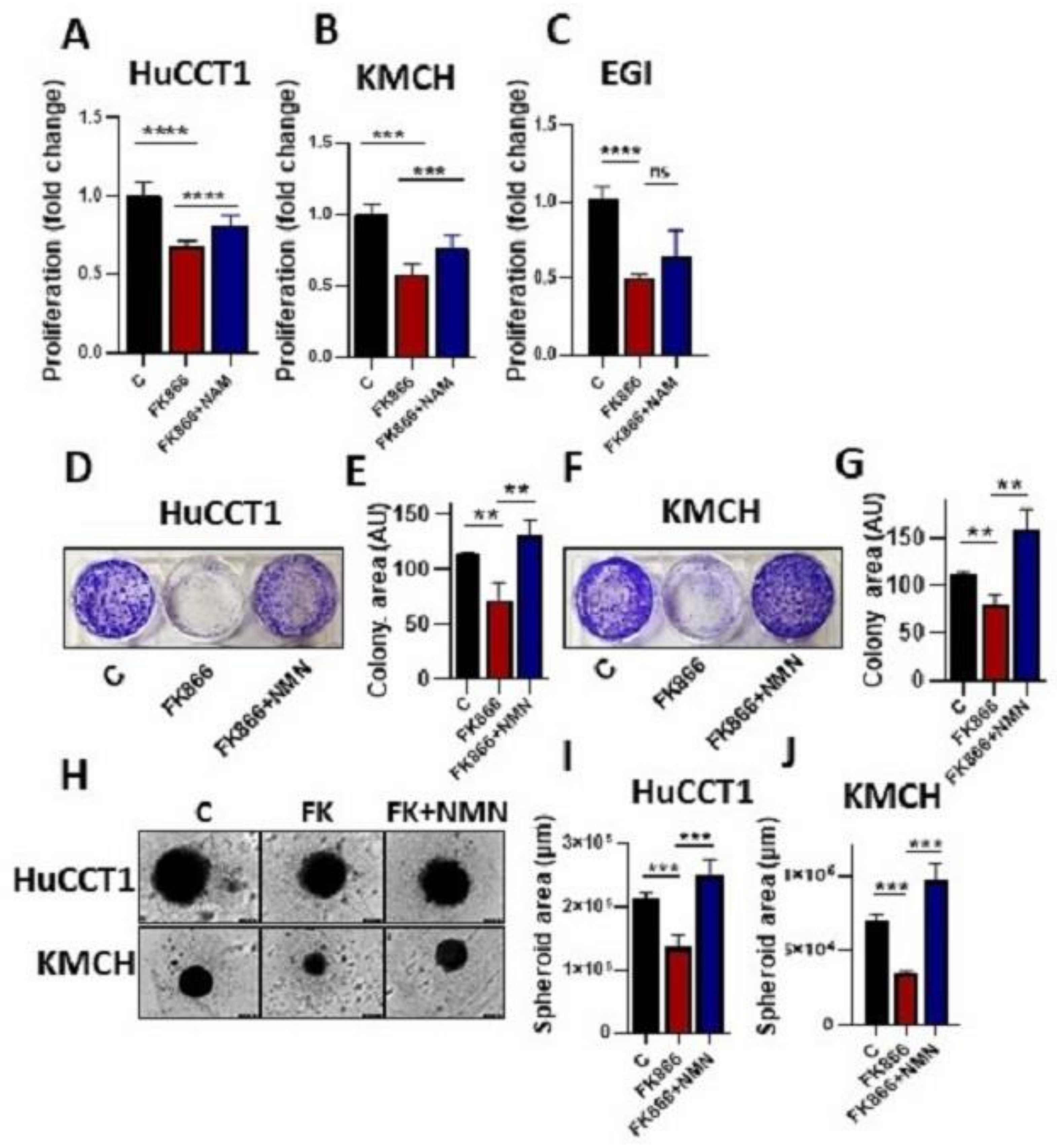 Cells 12 00775 g003 Cells 12 00775 g003