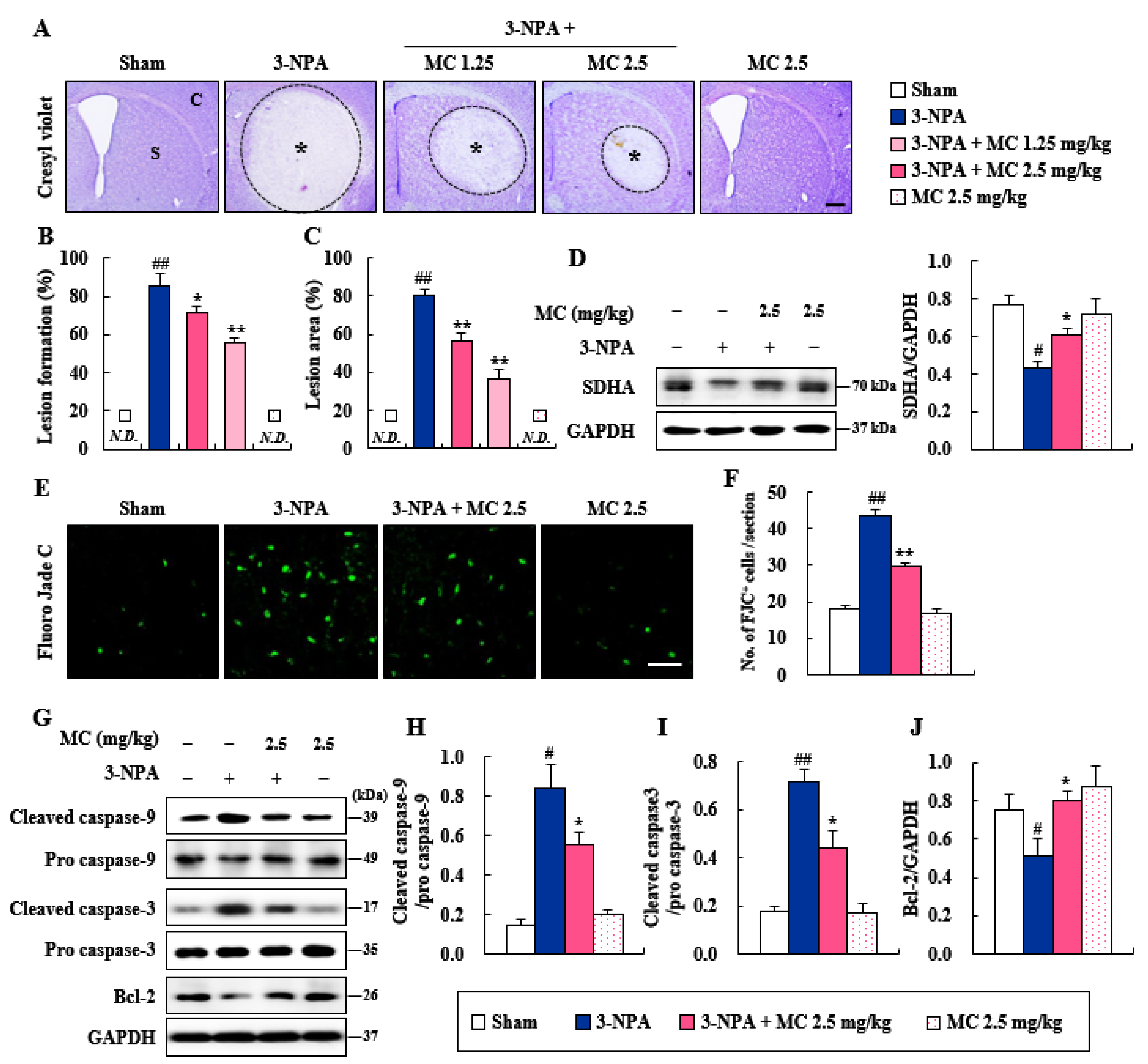 Cells 12 00786 g002 Cells 12 00786 g002