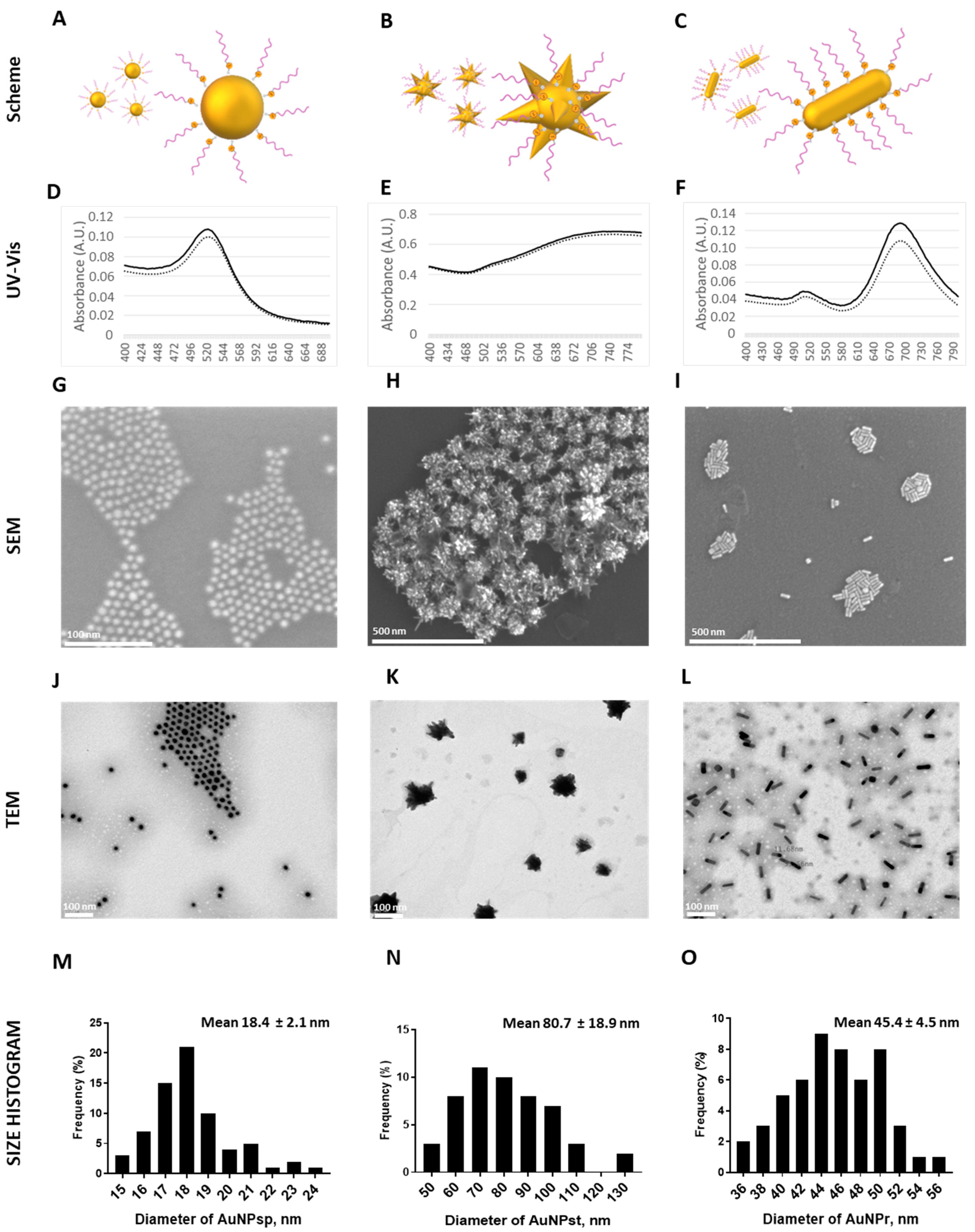 Cells 12 00787 g002 Cells 12 00787 g002