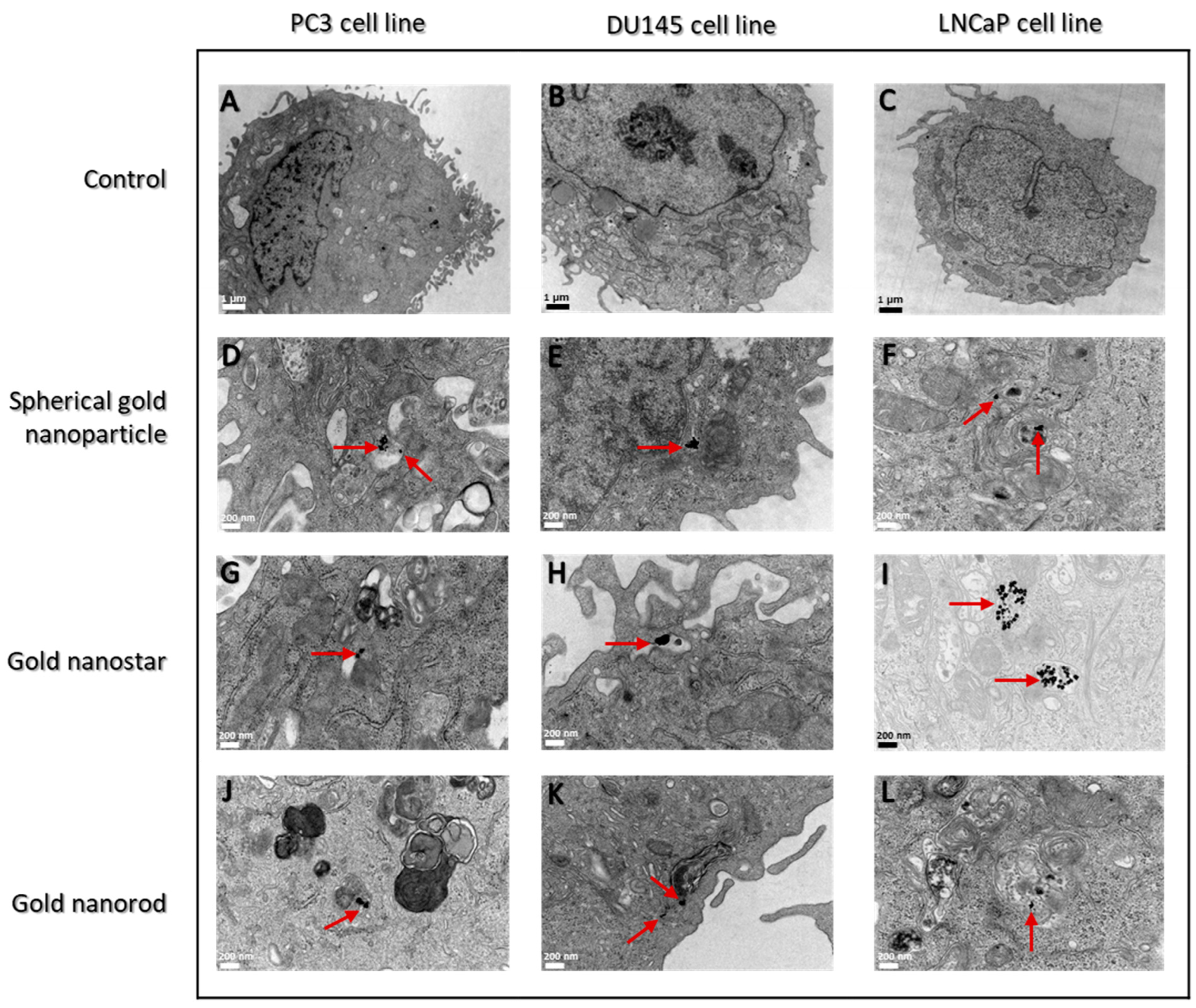 Cells 12 00787 g003 Cells 12 00787 g003