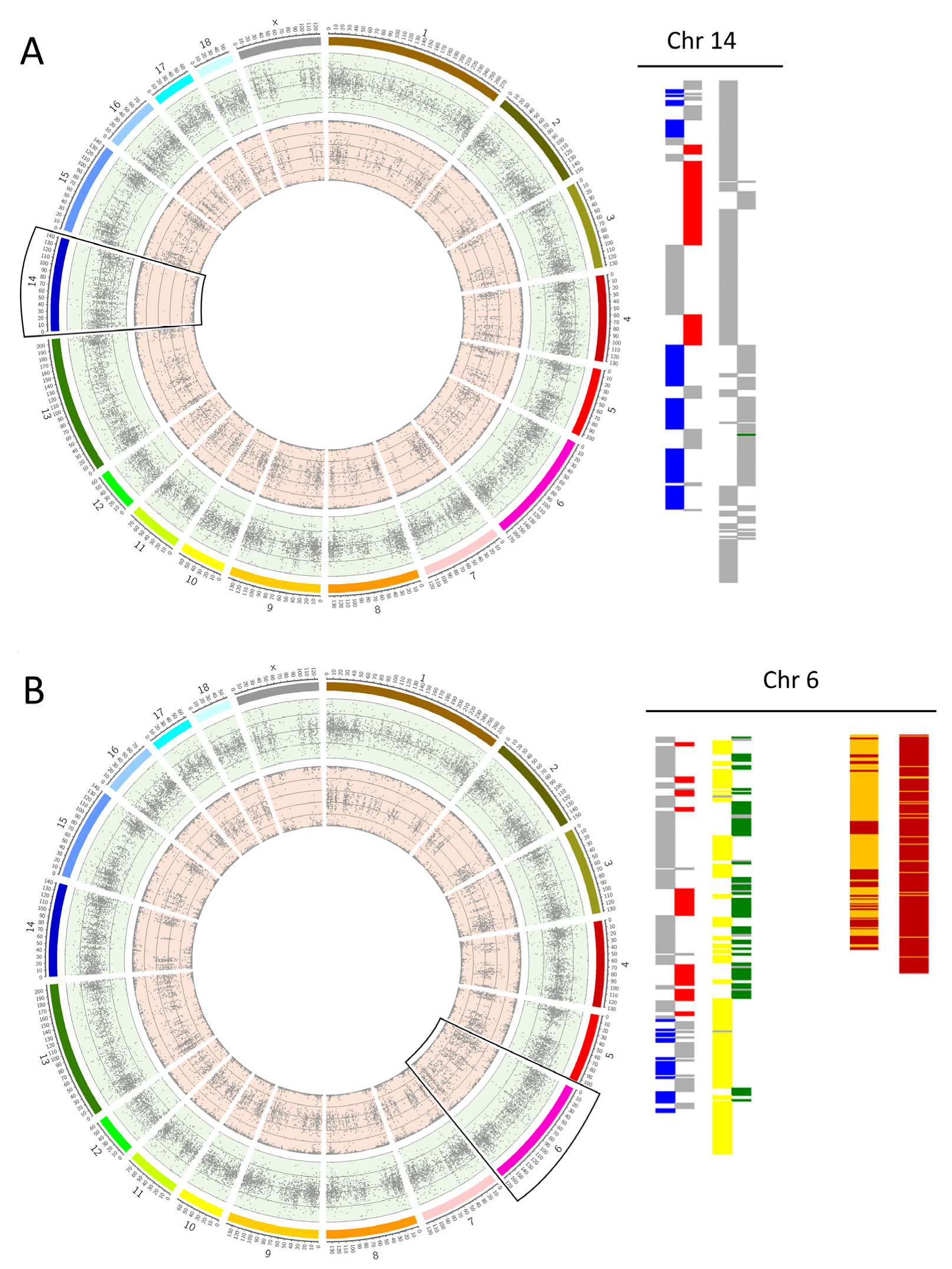 Cells 12 00790 g001 Cells 12 00790 g001