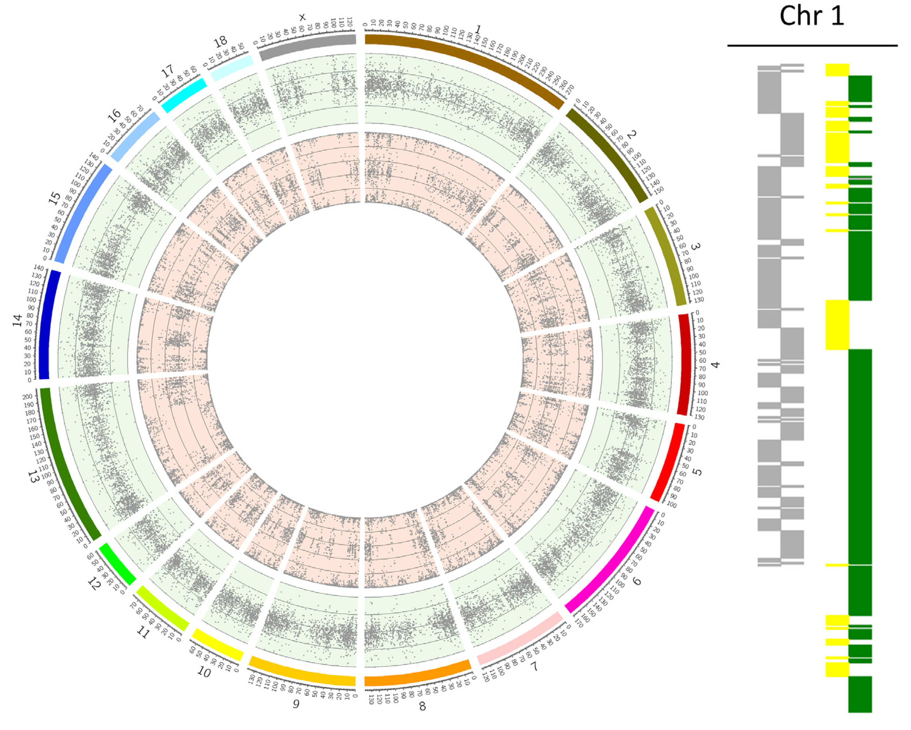 Cells 12 00790 g002 Cells 12 00790 g002