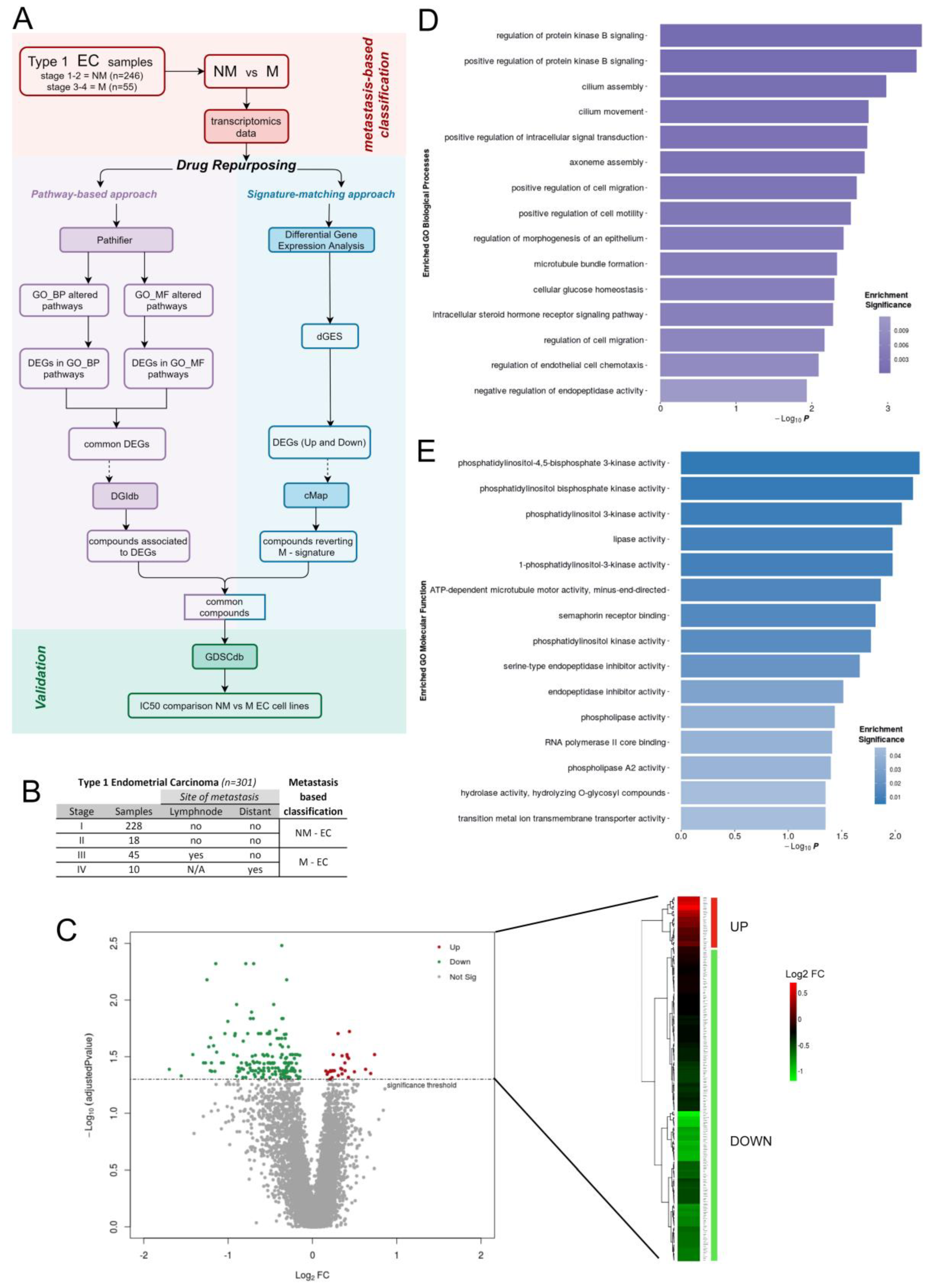 Cells 12 00794 g001 Cells 12 00794 g001