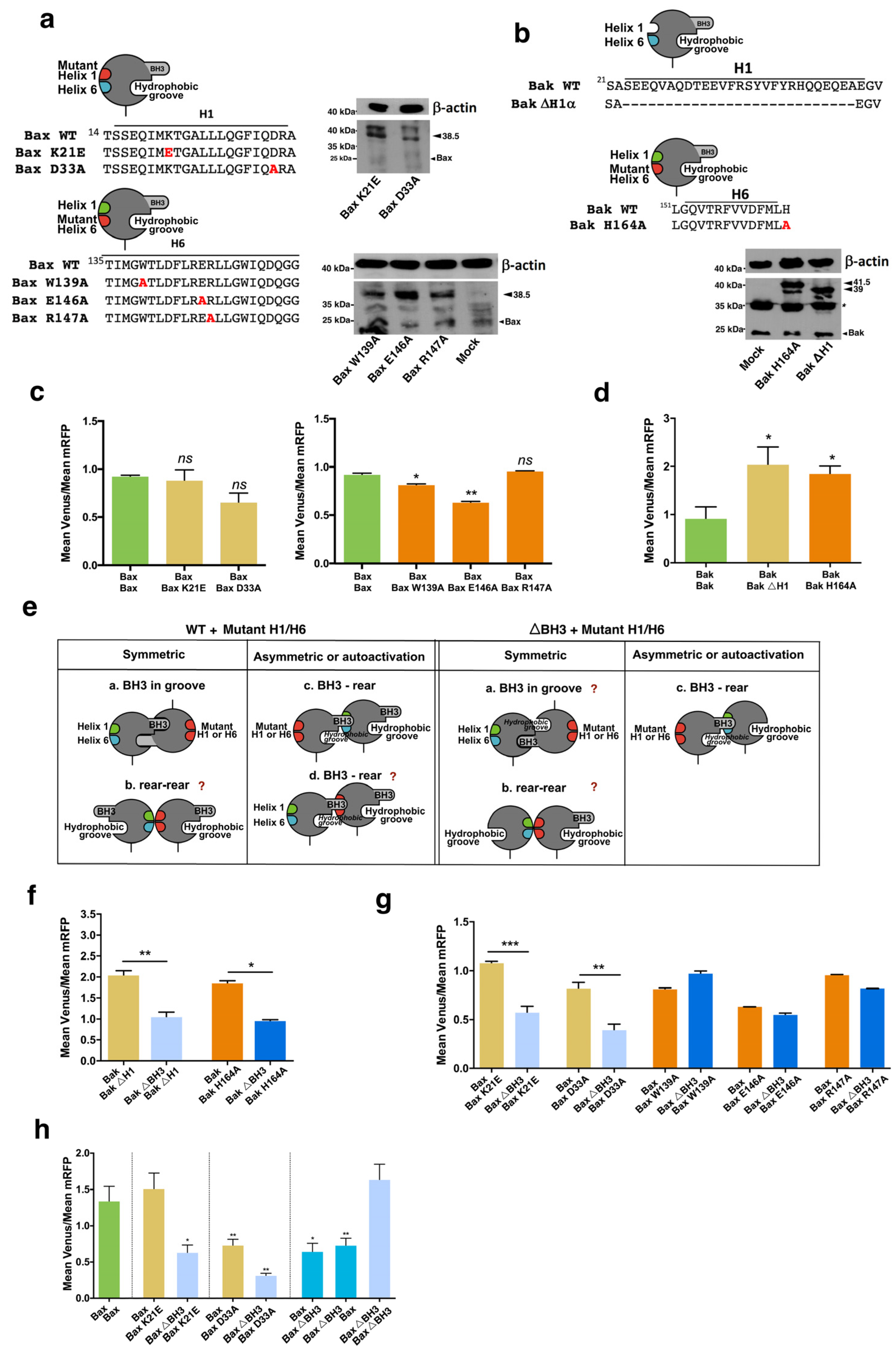 Cells 12 00800 g008 Cells 12 00800 g008