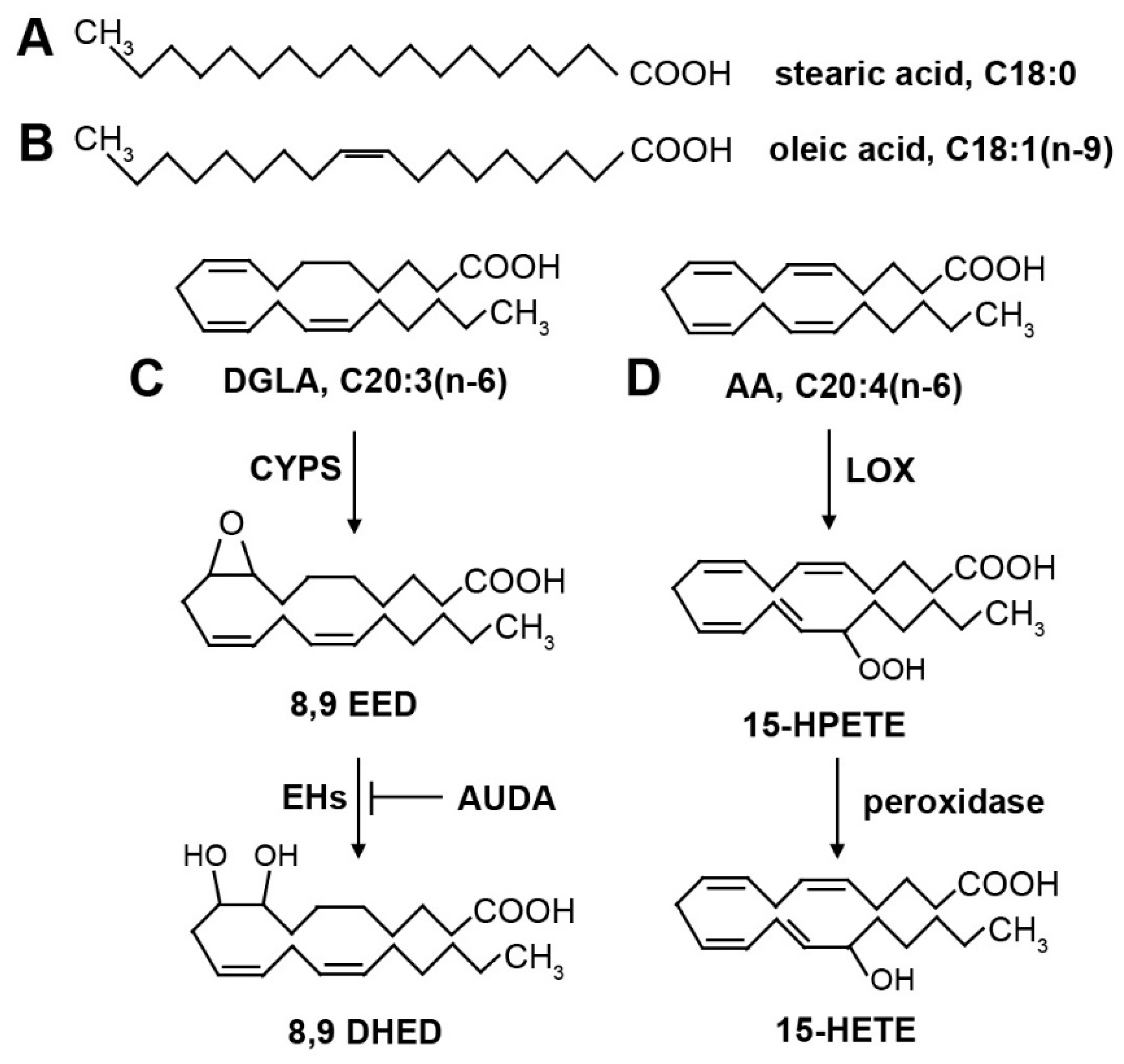 Non Esterified Fatty Acids Vs Free Fatty Acids at Samantha Straus blog Non Esterified Fatty Acids Vs Free Fatty Acids at Samantha Straus blog