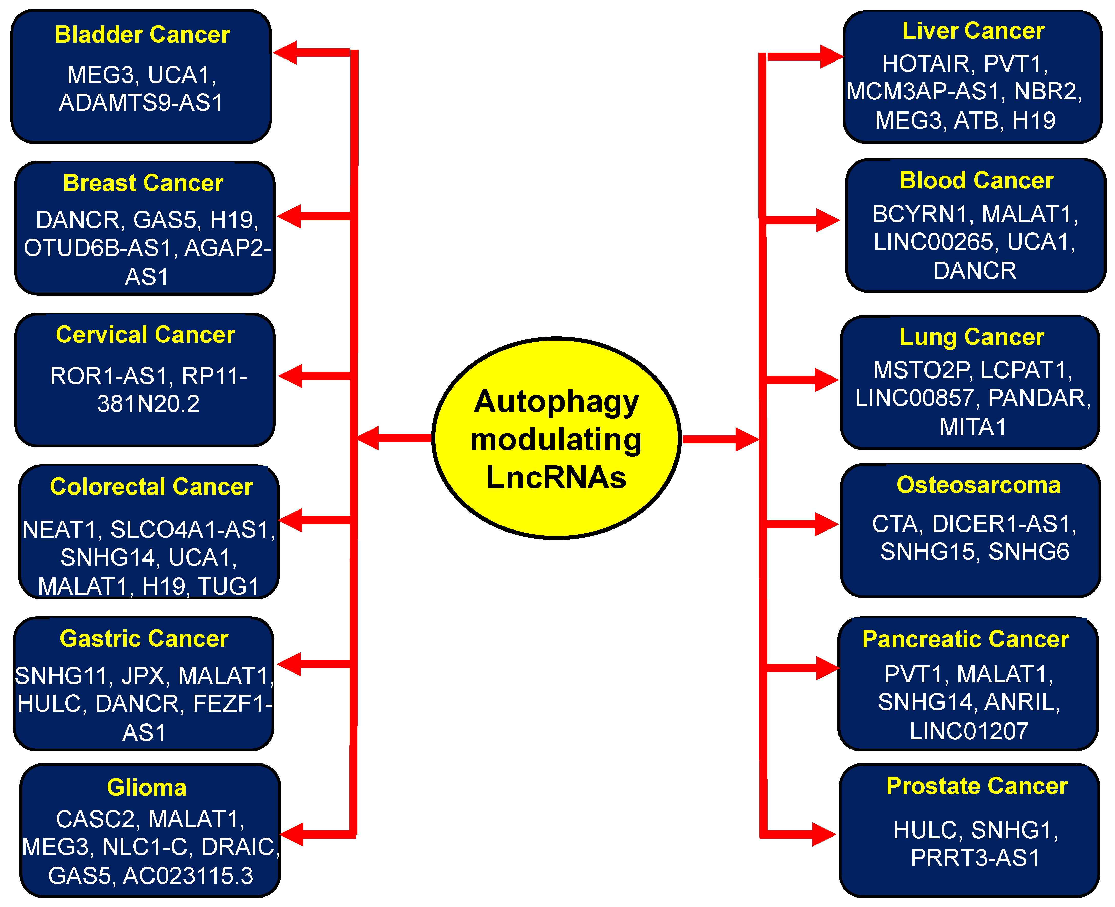 Cells 12 00810 g002 Cells 12 00810 g002