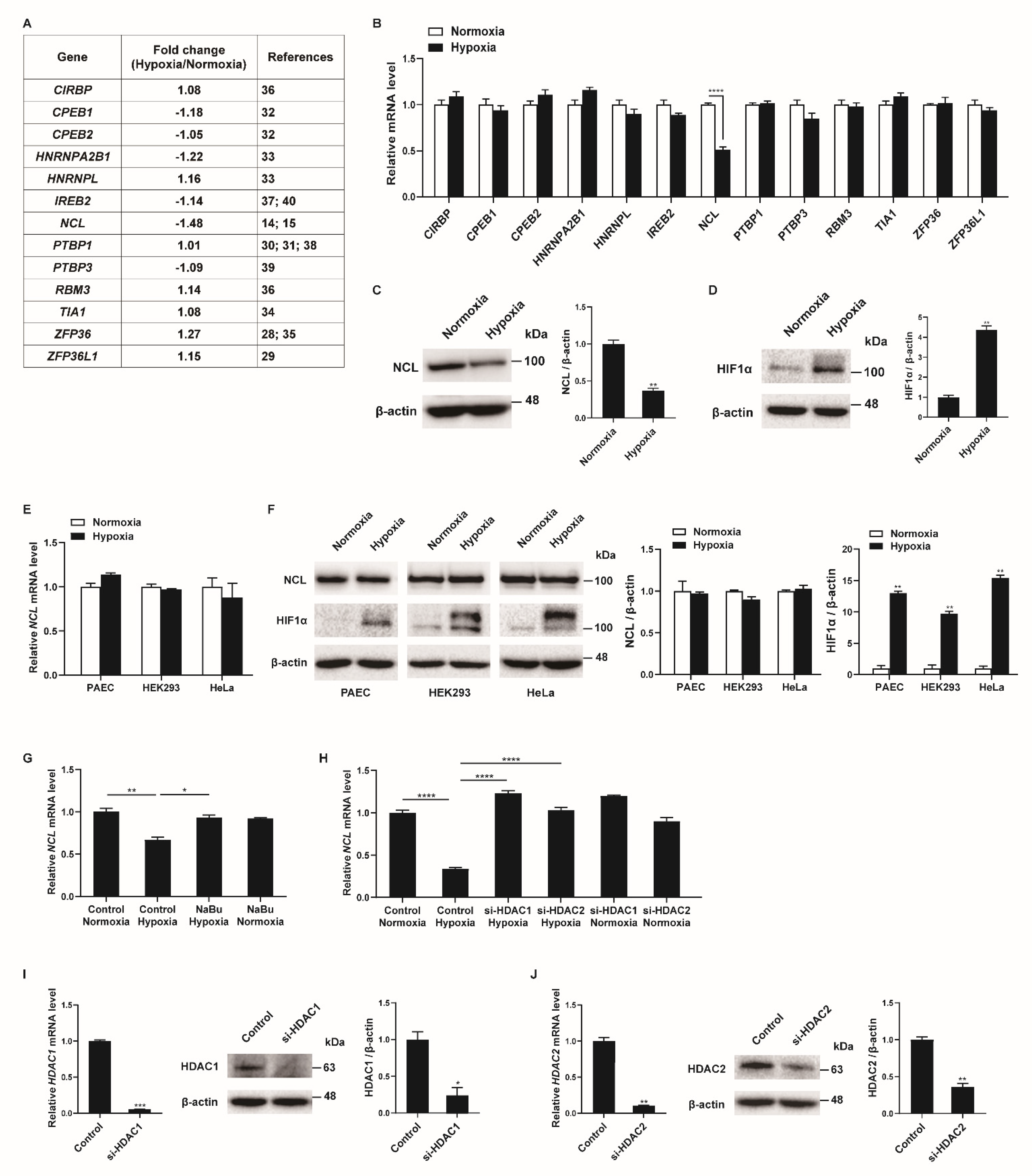 Cells 12 00817 g001 Cells 12 00817 g001