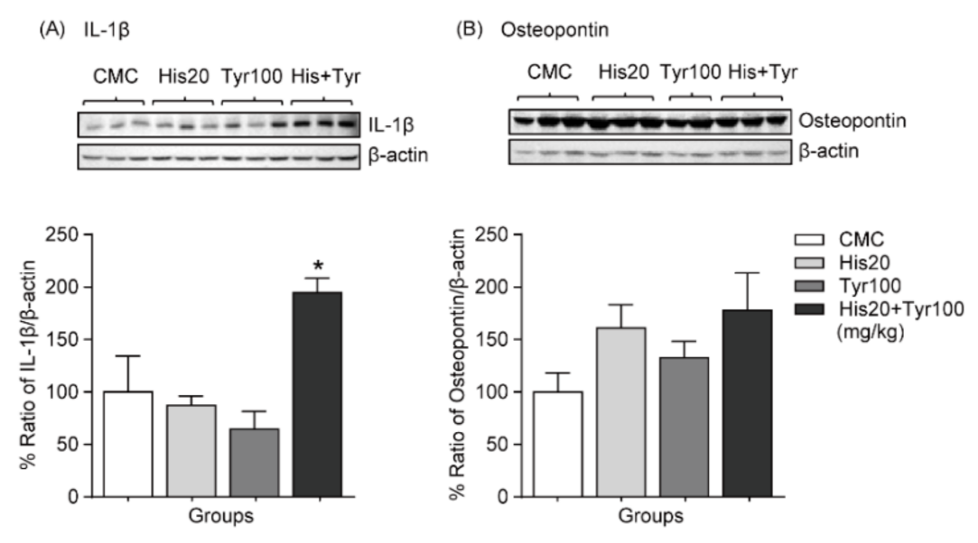 Cells 12 00822 g002 Cells 12 00822 g002