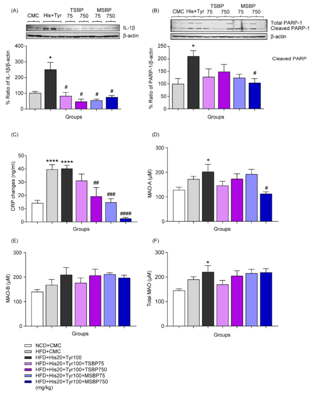 Cells 12 00822 g006 Cells 12 00822 g006