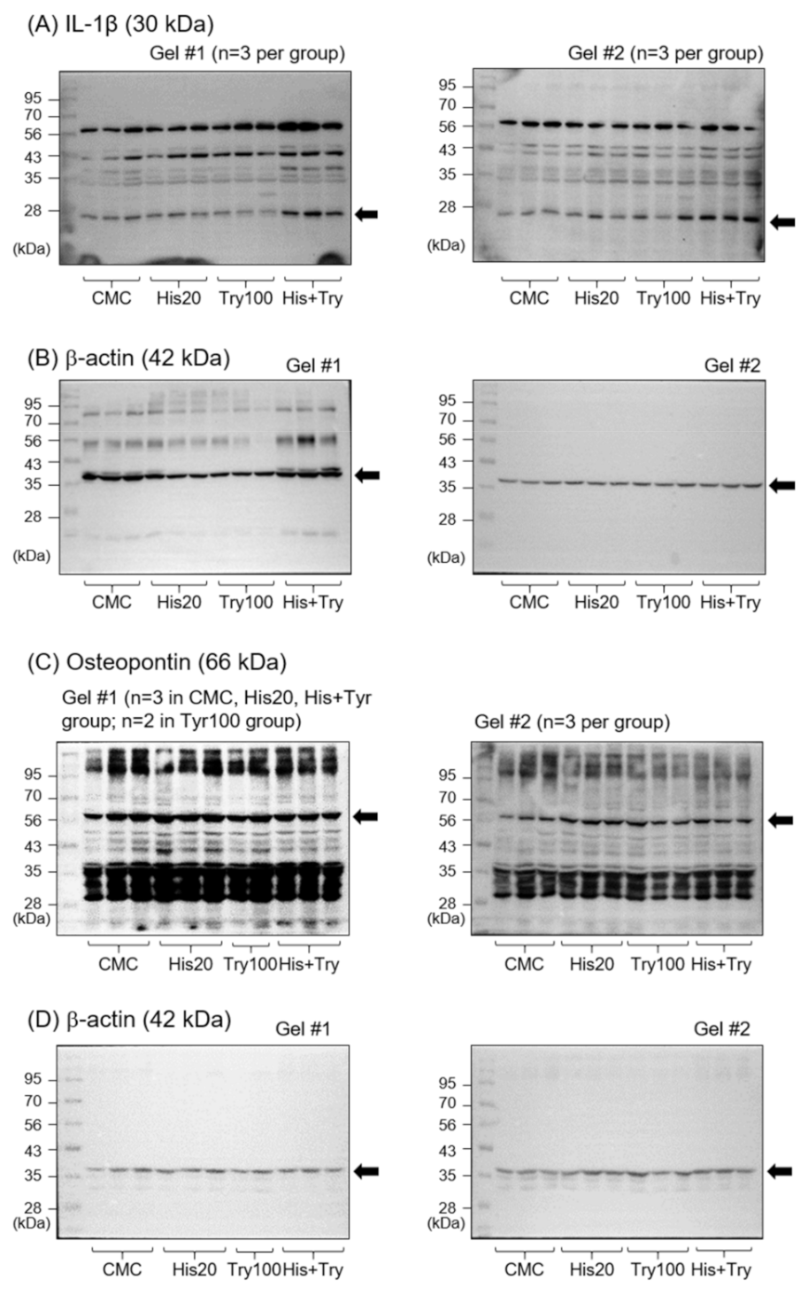 Cells 12 00822 g0a1 Cells 12 00822 g0a1