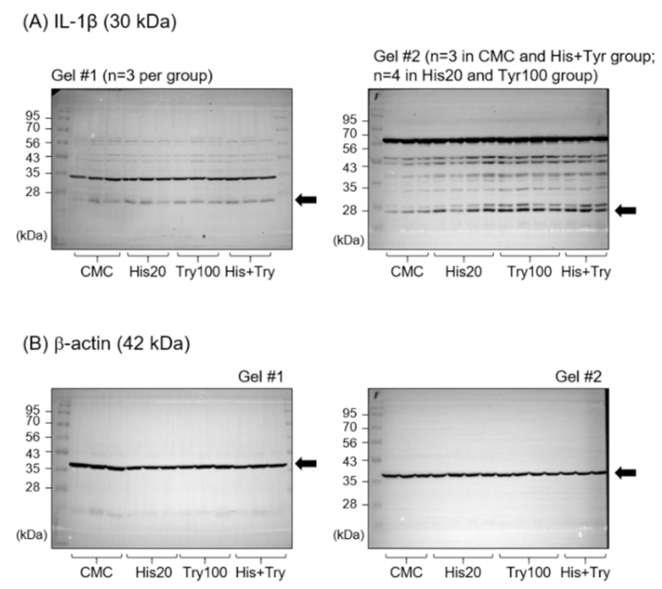 Cells 12 00822 g0a2 Cells 12 00822 g0a2