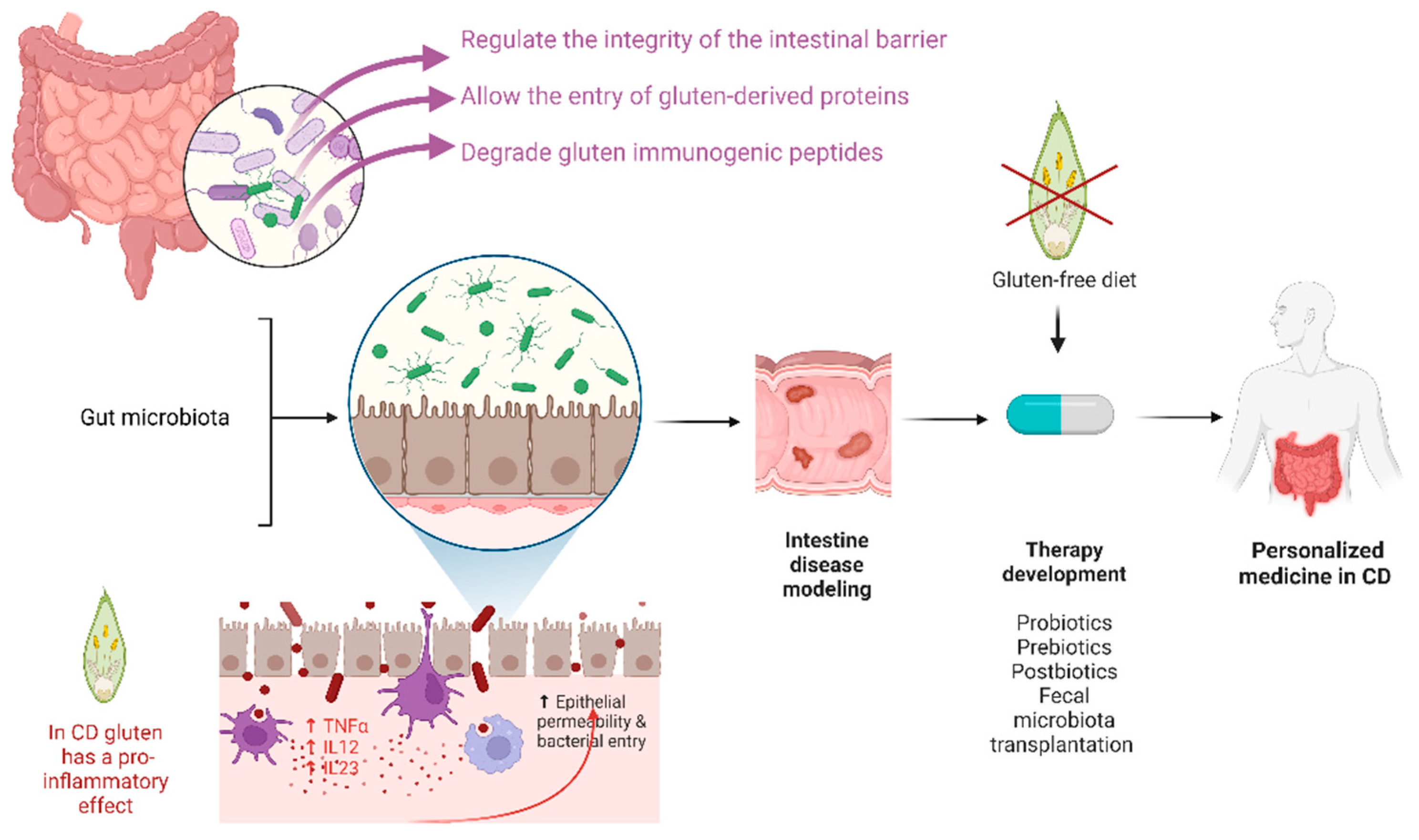 Cells 12 00823 g001 Cells 12 00823 g001