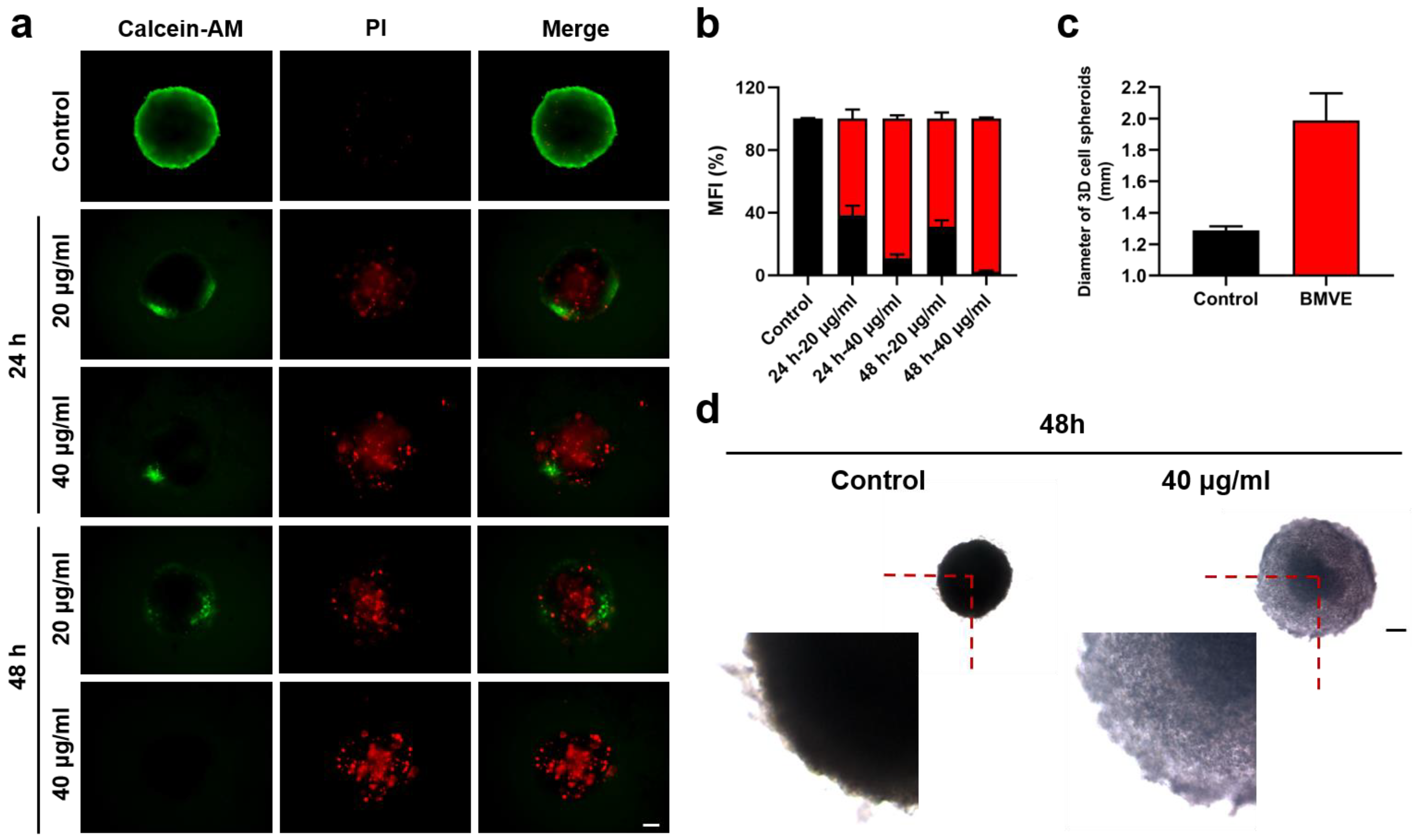 Cells 12 00824 g004 Cells 12 00824 g004