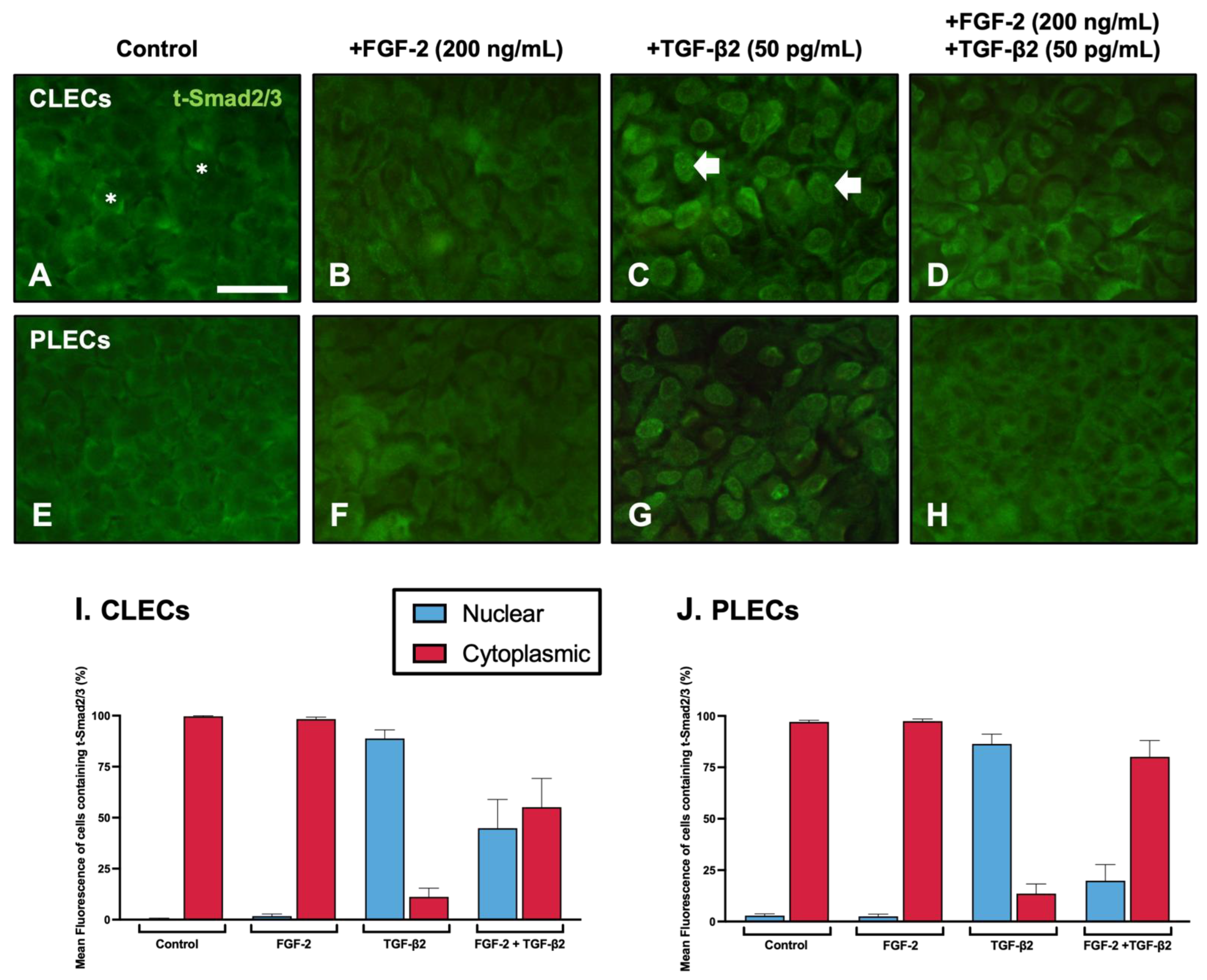 Cells 12 00827 g005 Cells 12 00827 g005