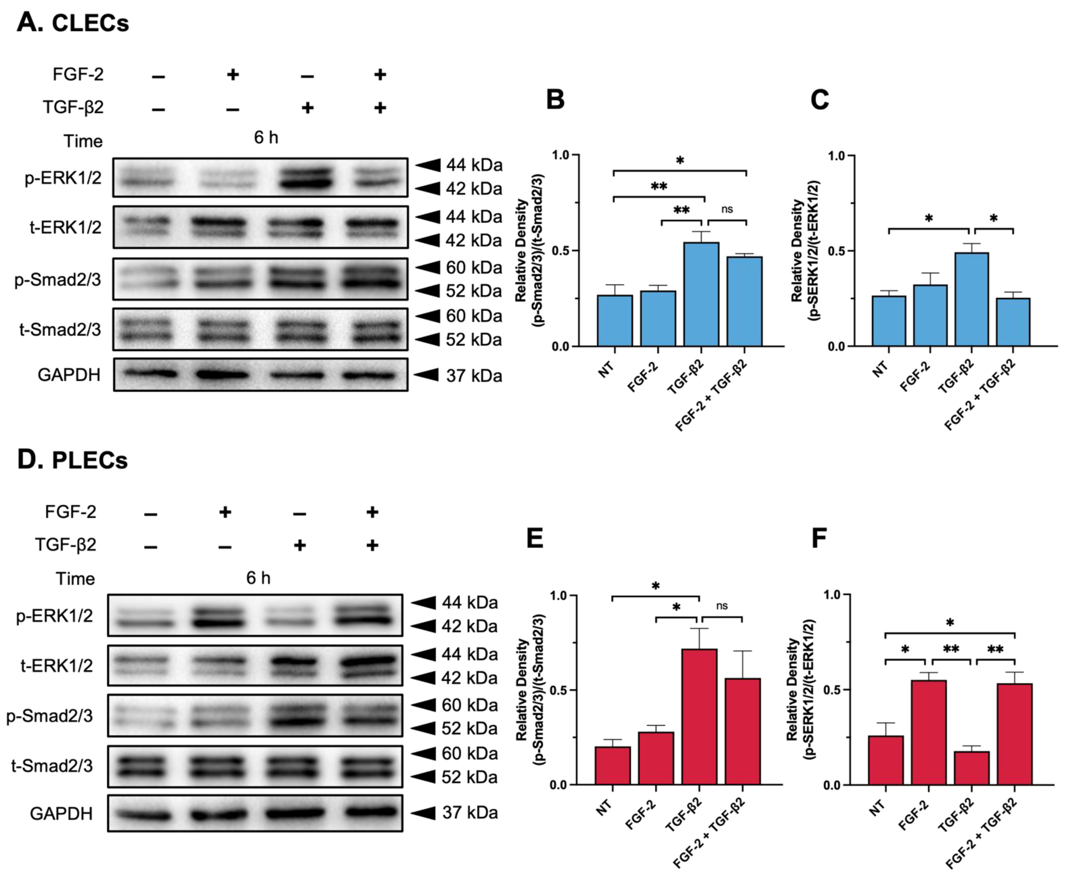 Cells 12 00827 g006 Cells 12 00827 g006