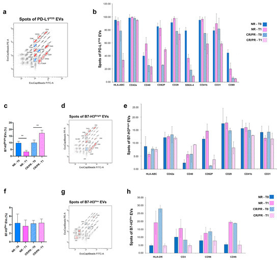 Cells | Free Full-Text | Prognostic Role of Soluble and Extracellular ...