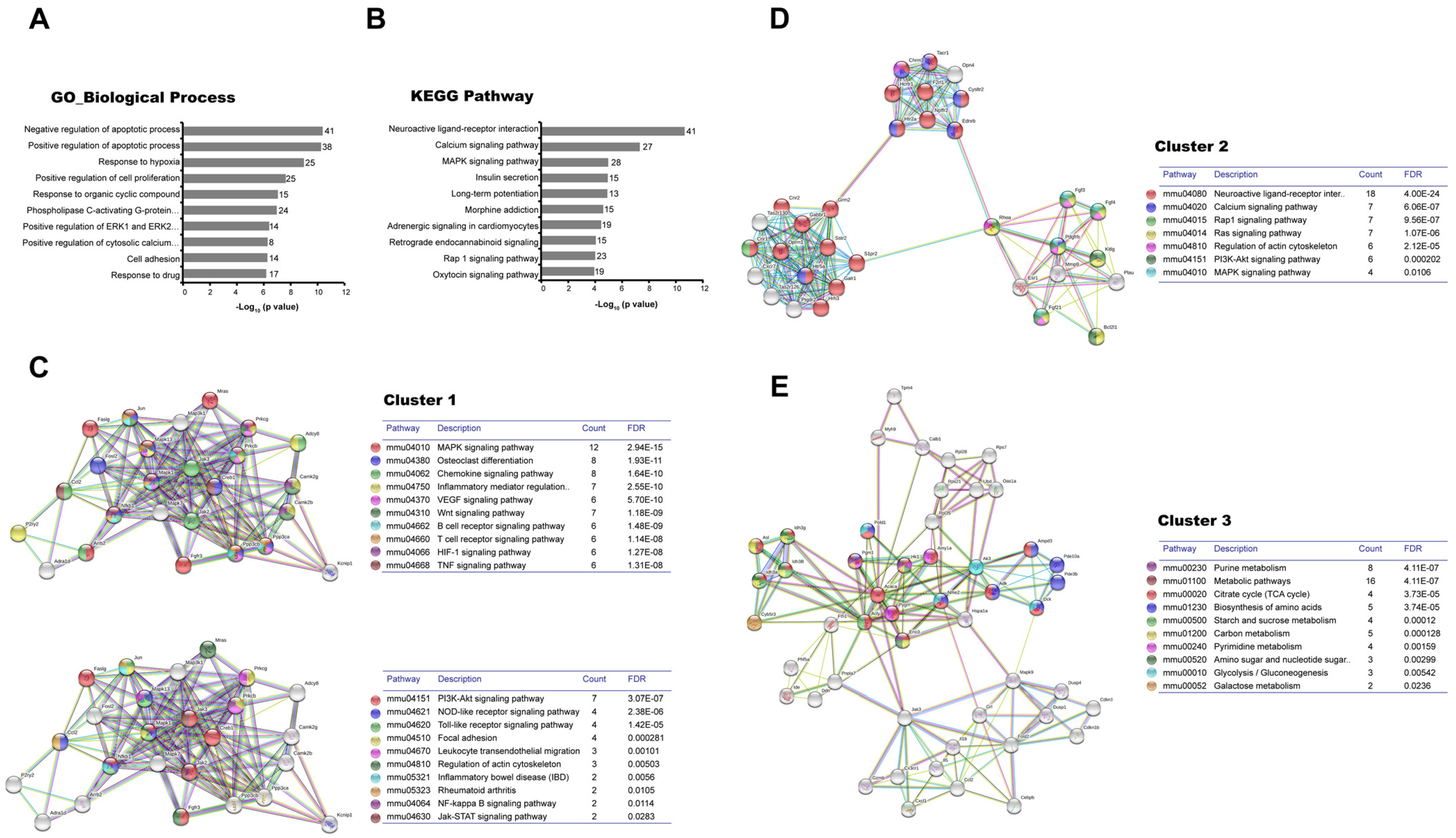Cells 12 00842 g002 Cells 12 00842 g002