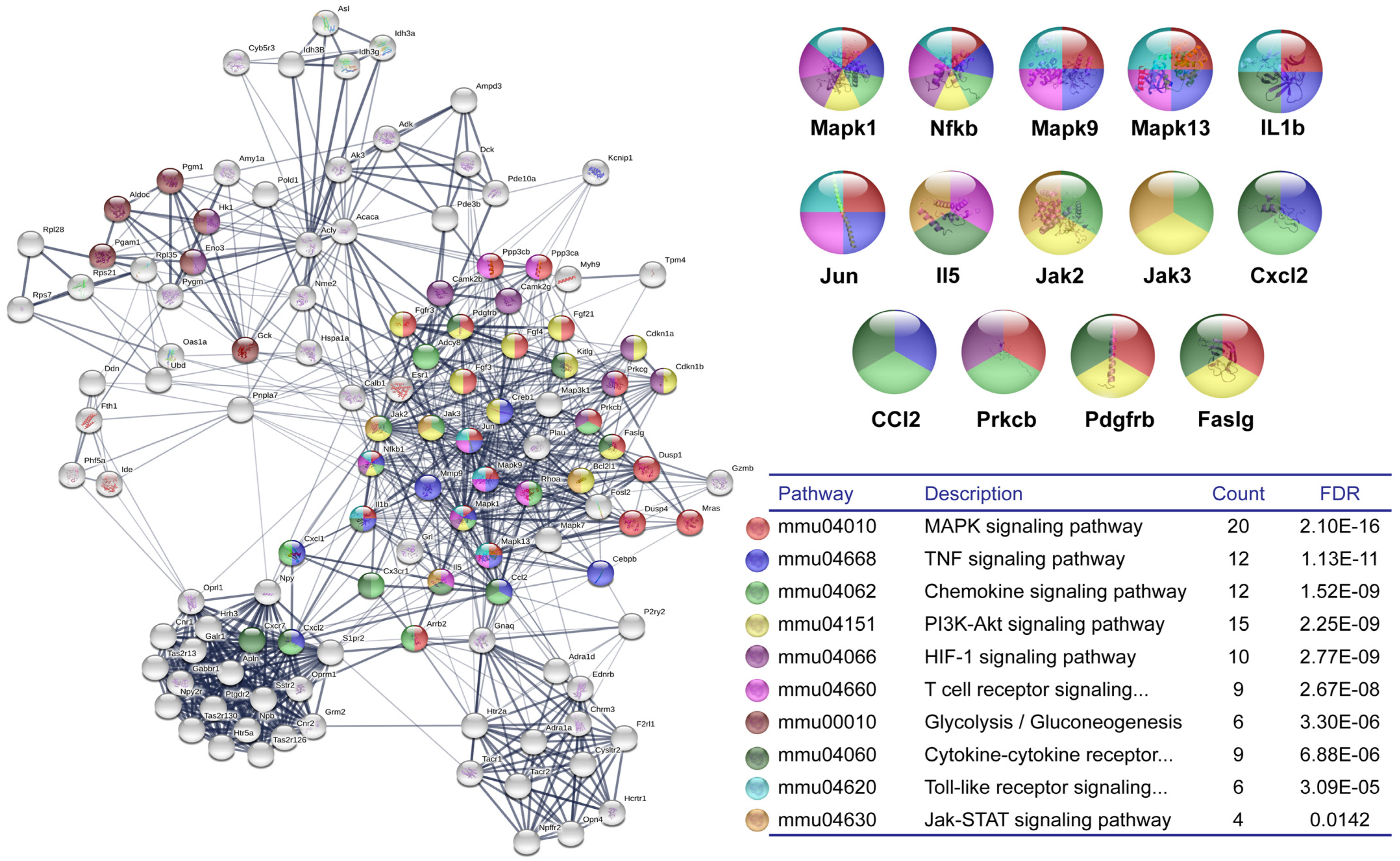 Cells 12 00842 g003 Cells 12 00842 g003