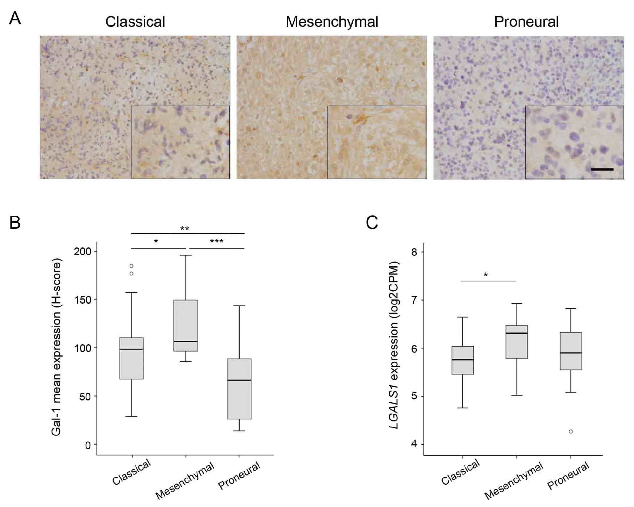 Cells 12 00843 g004 Cells 12 00843 g004