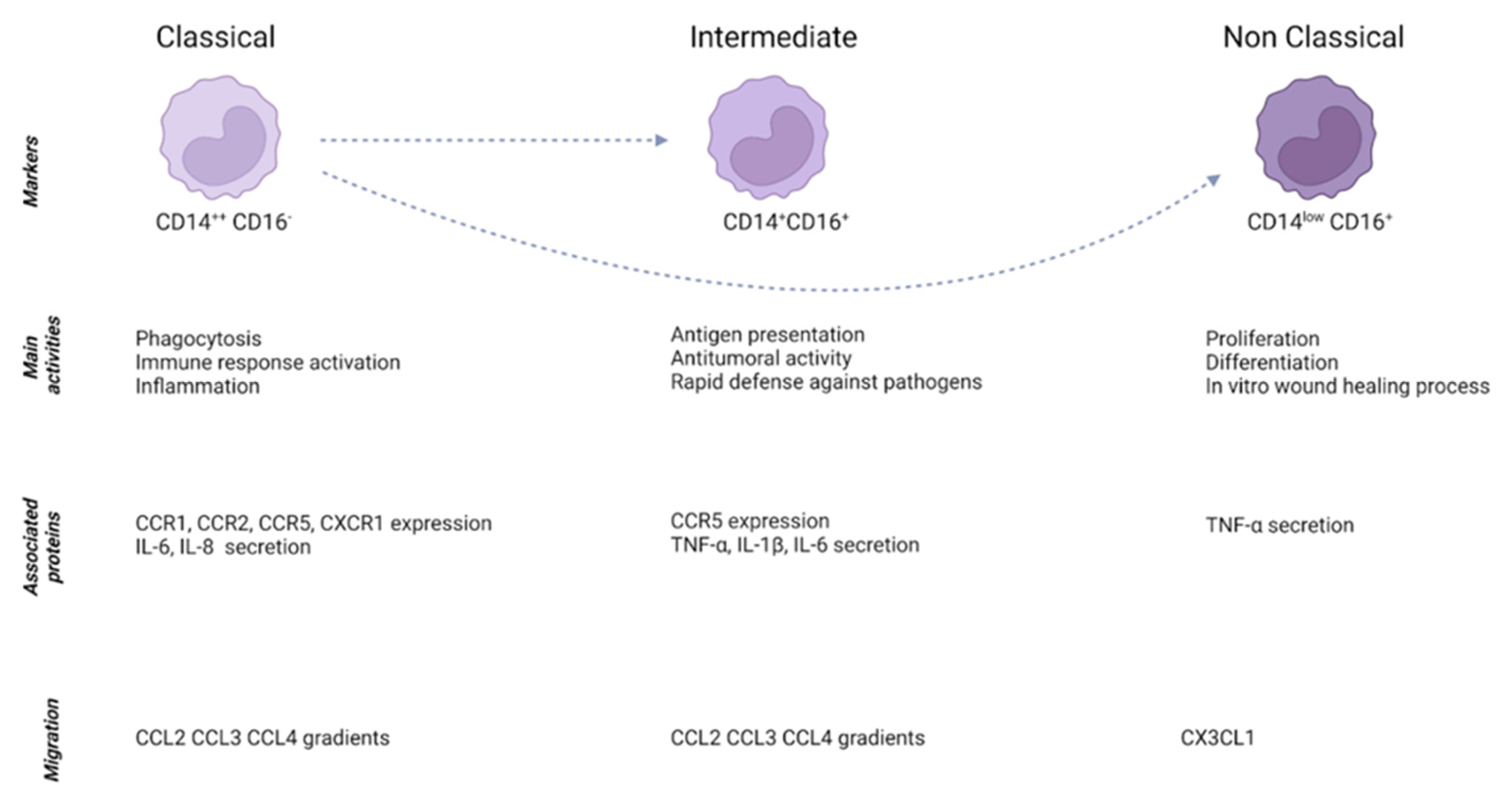 Cells 12 00846 g001 Cells 12 00846 g001