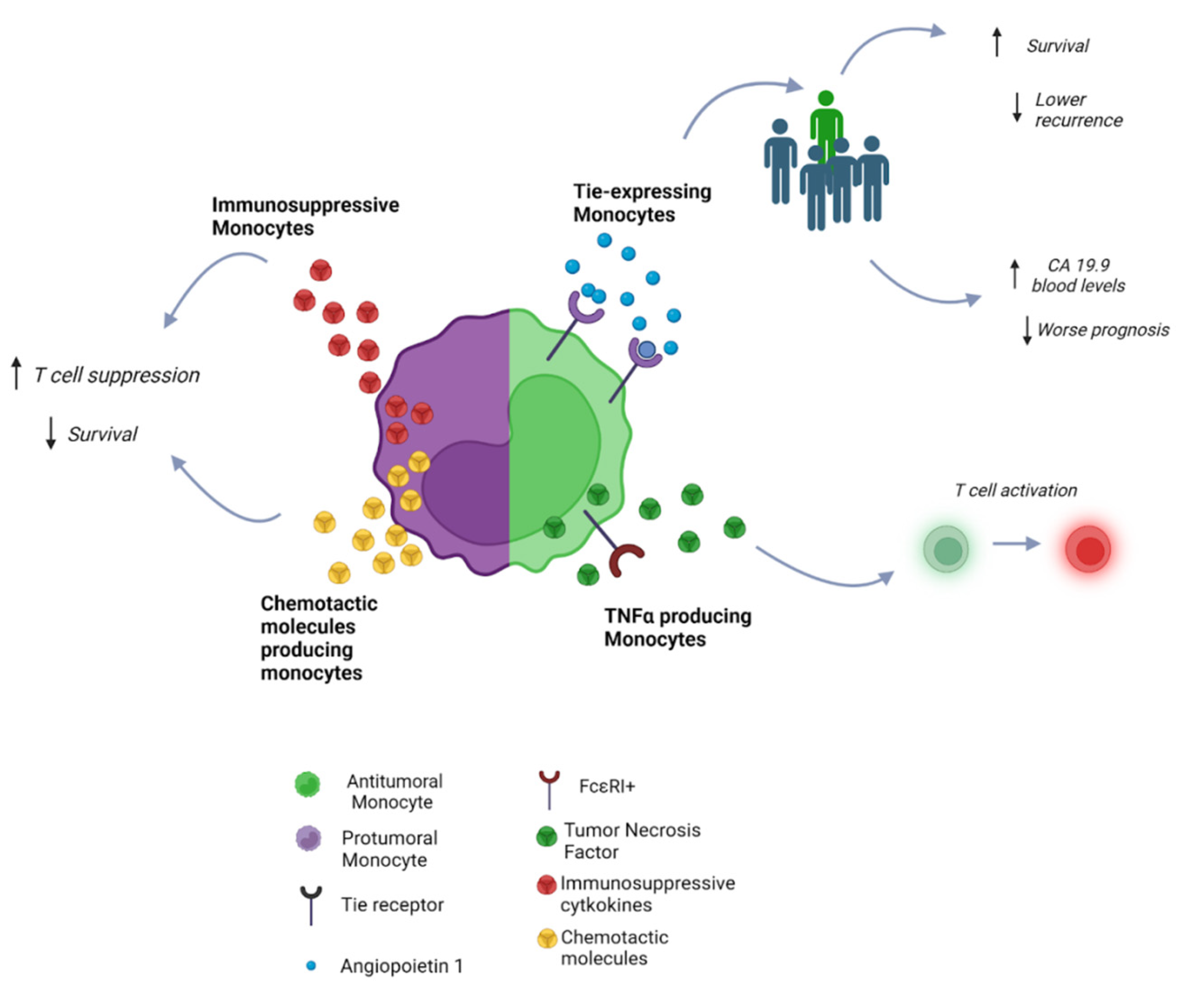Cells 12 00846 g002 Cells 12 00846 g002