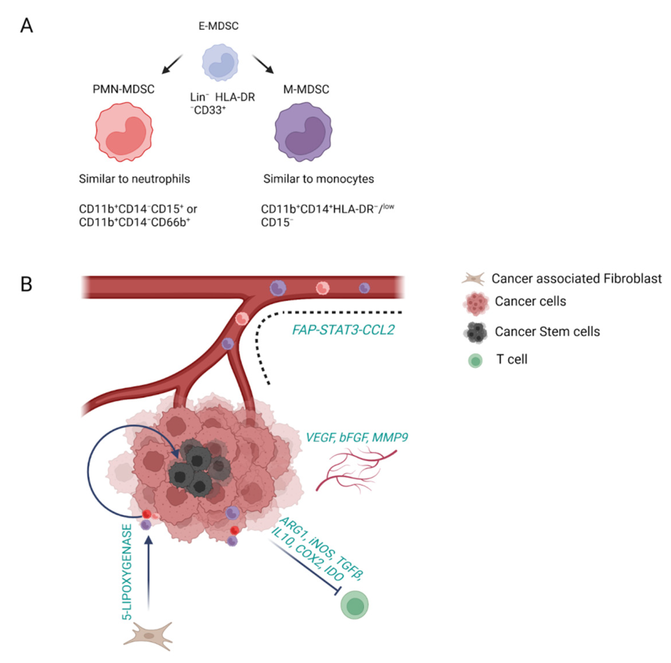 Cells 12 00846 g003 Cells 12 00846 g003