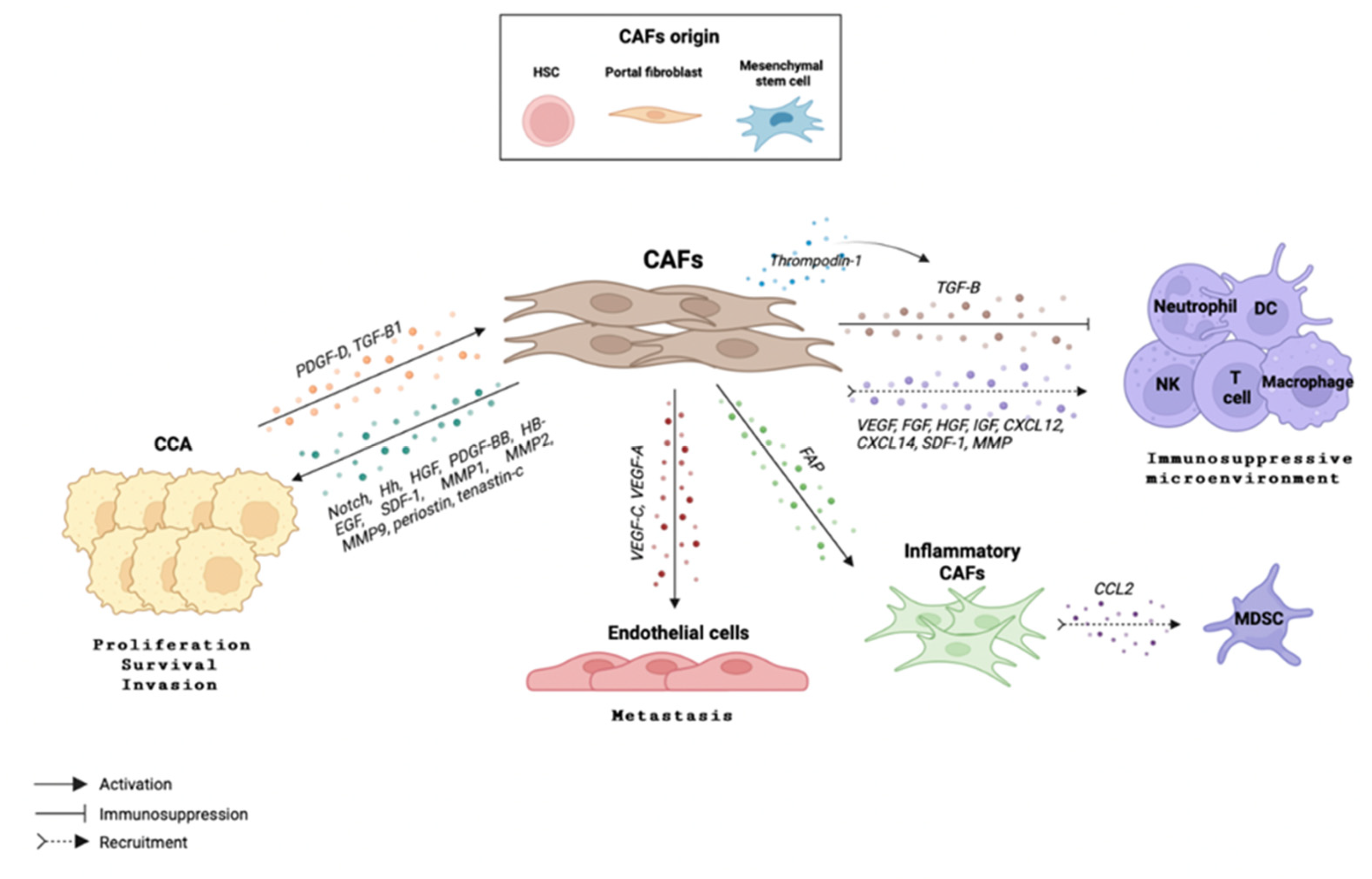 Cells 12 00846 g005 Cells 12 00846 g005