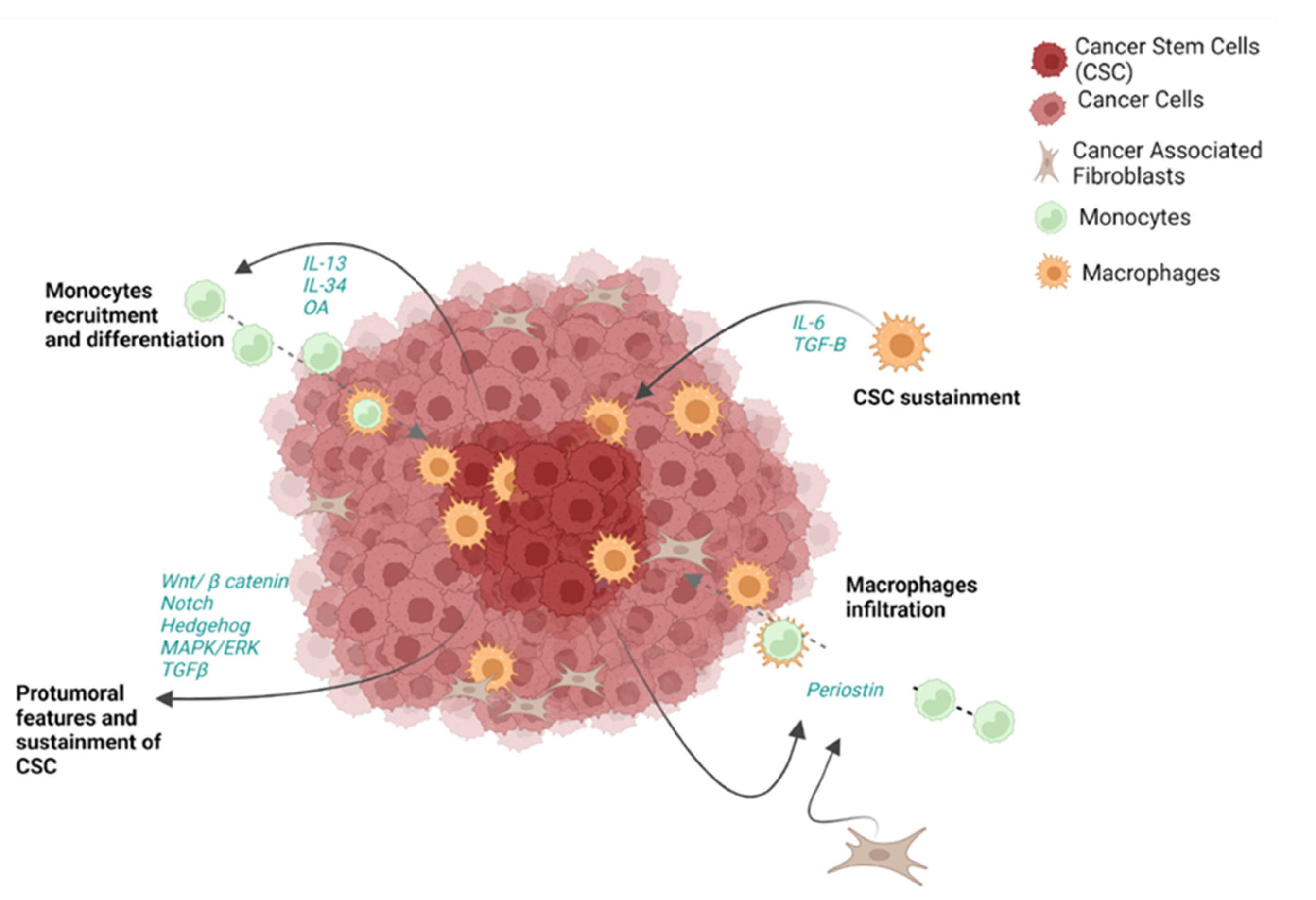 Cells 12 00846 g006 Cells 12 00846 g006